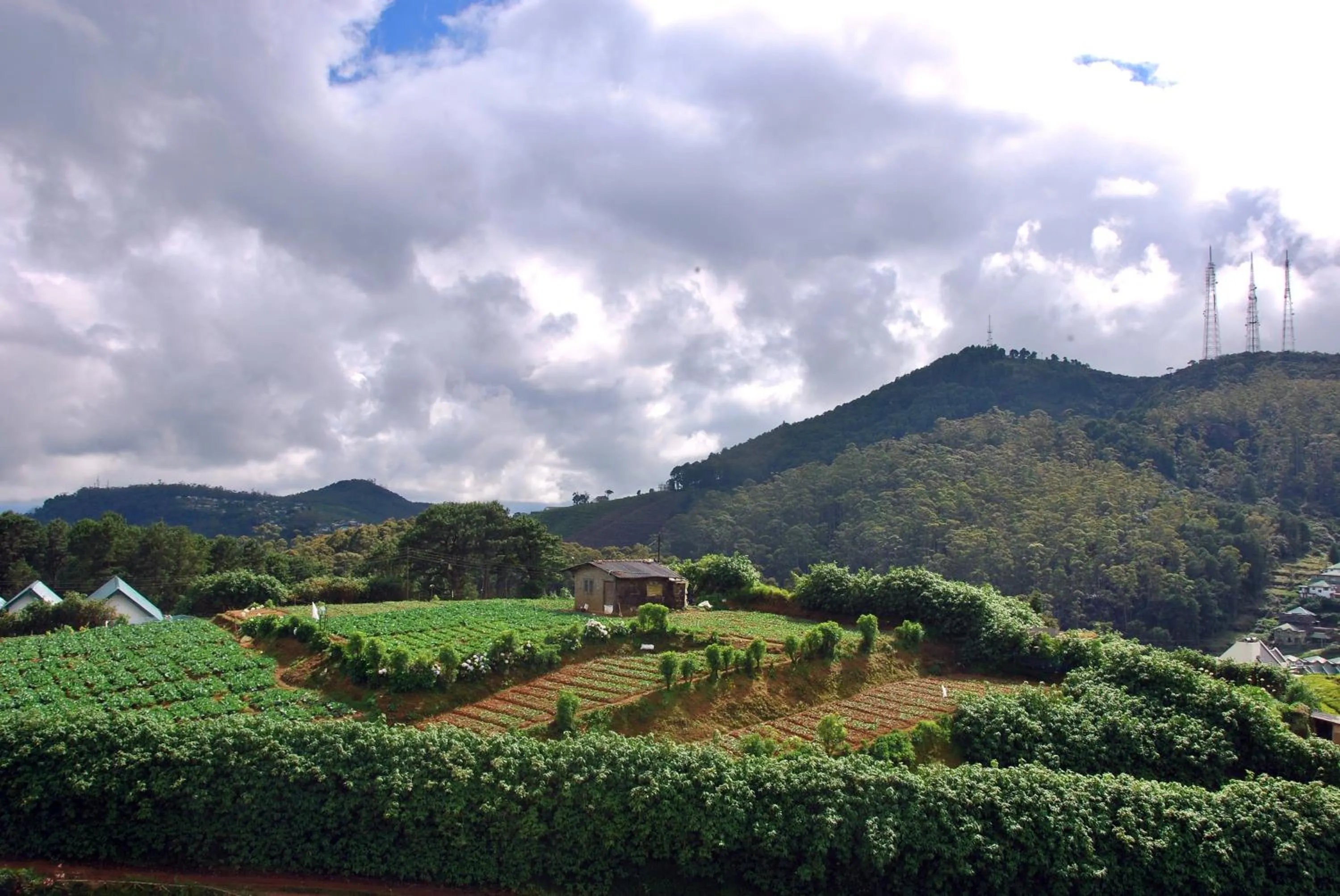 Natural landscape in Cottage San Francesco