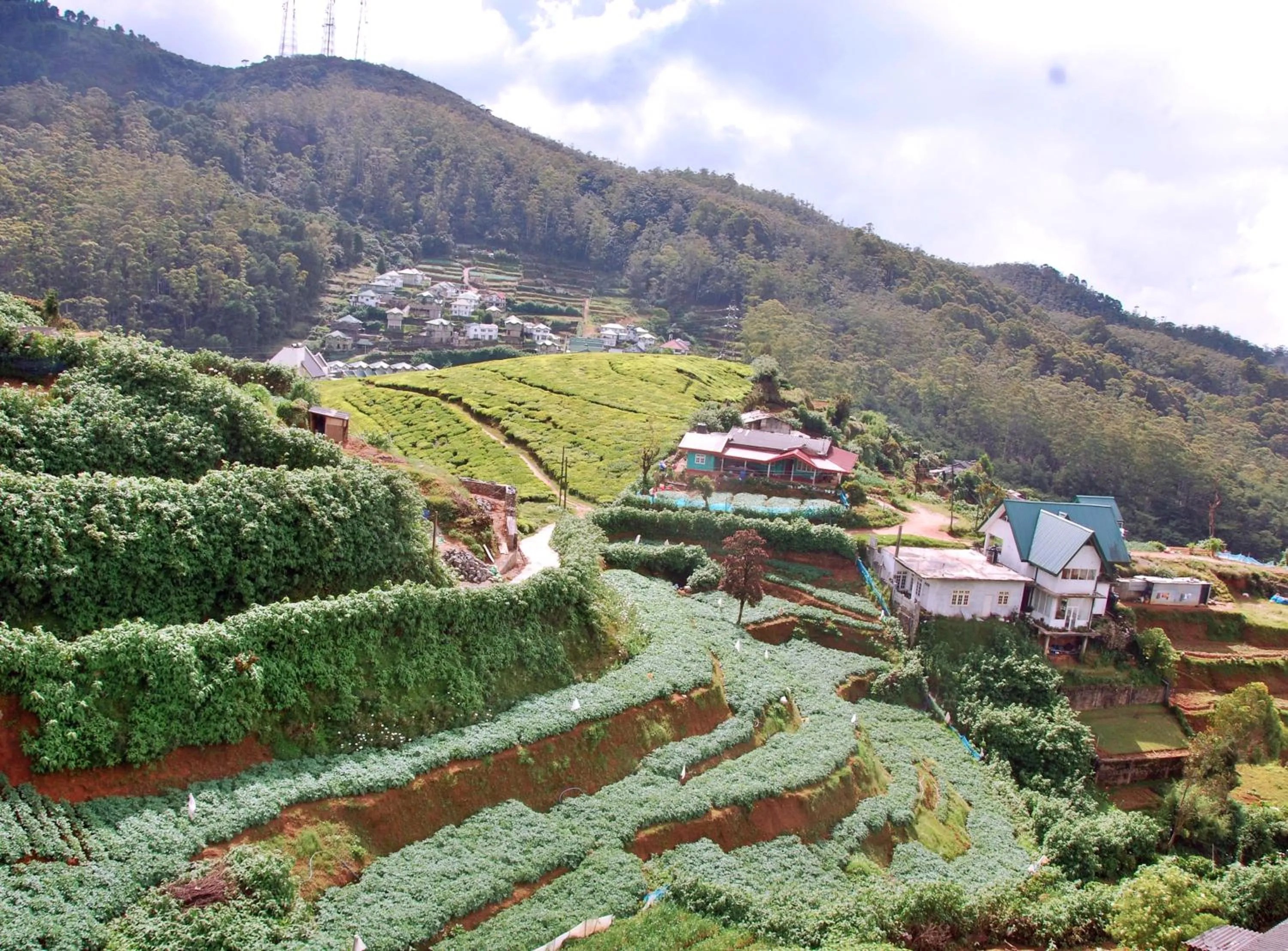 Natural landscape in Cottage San Francesco