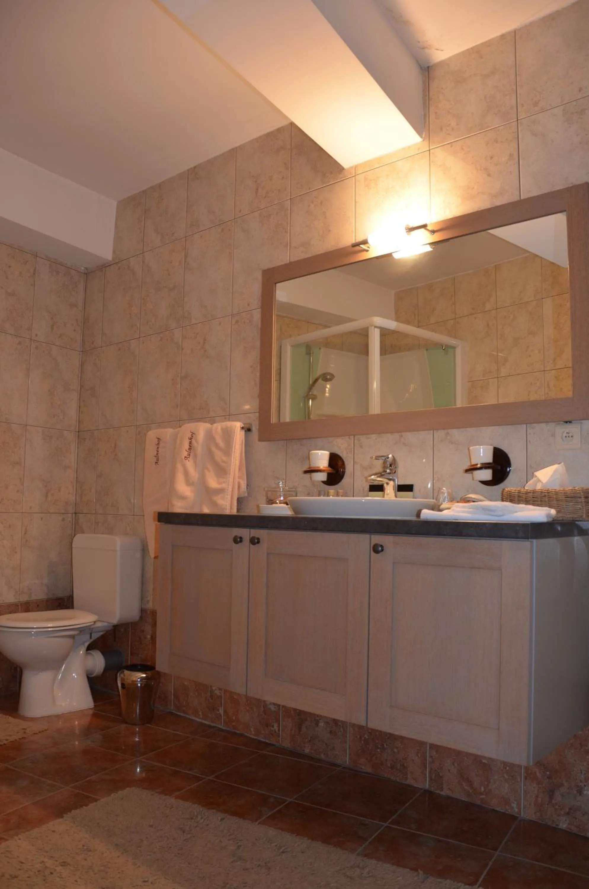 Bathroom in Hotel Aulnenhof