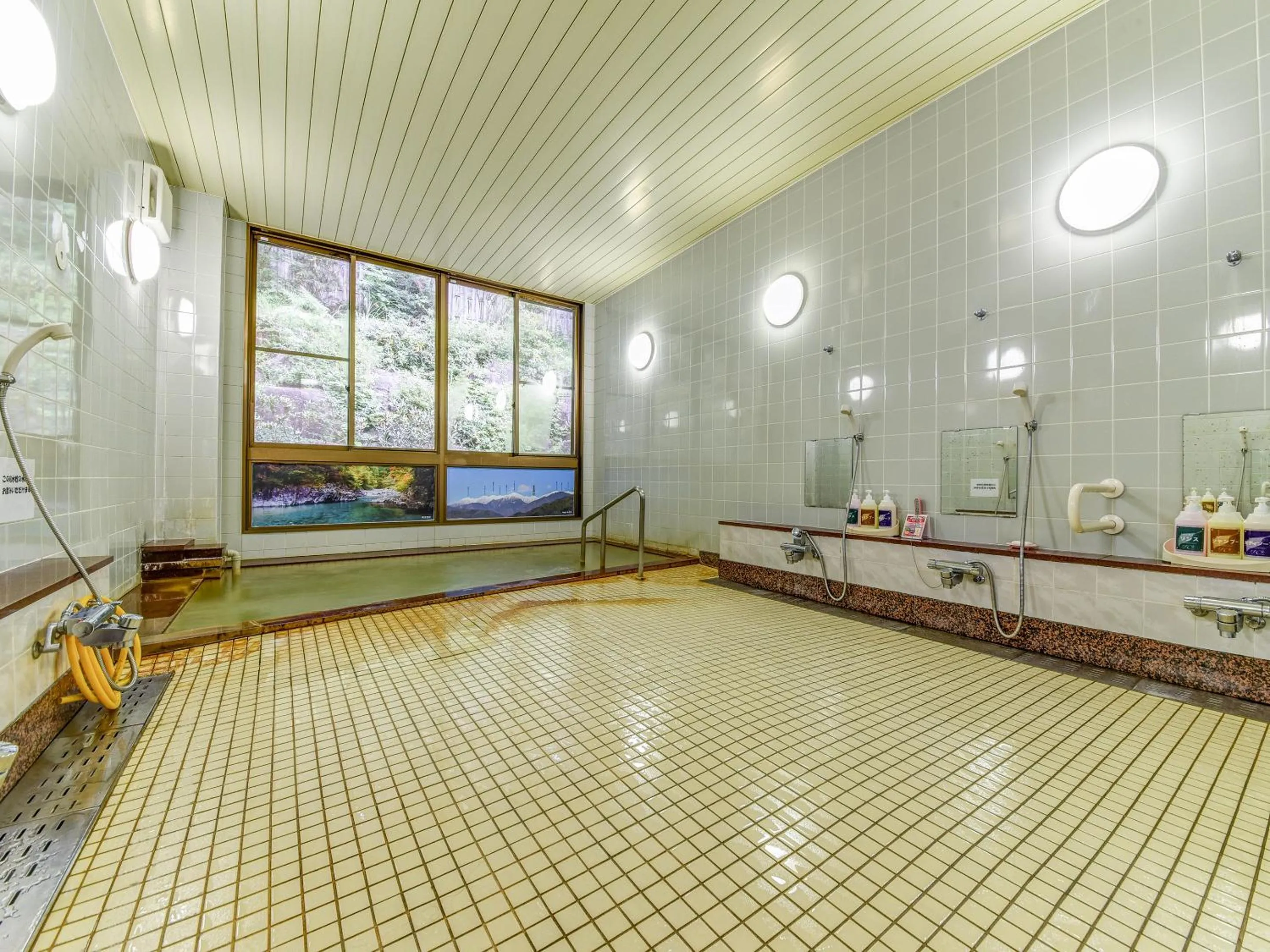 Public Bath in 阿寺温泉 フォレスパ木曽あてら荘