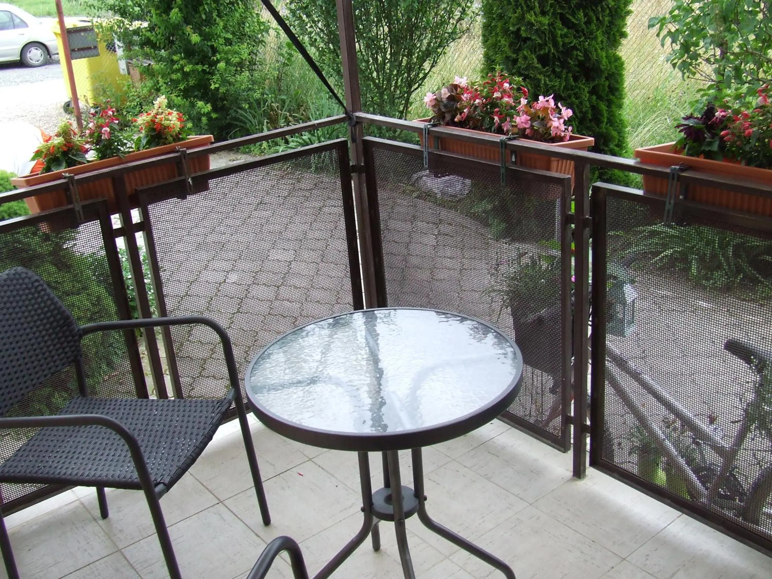 Garden in Pensiunea Caramell