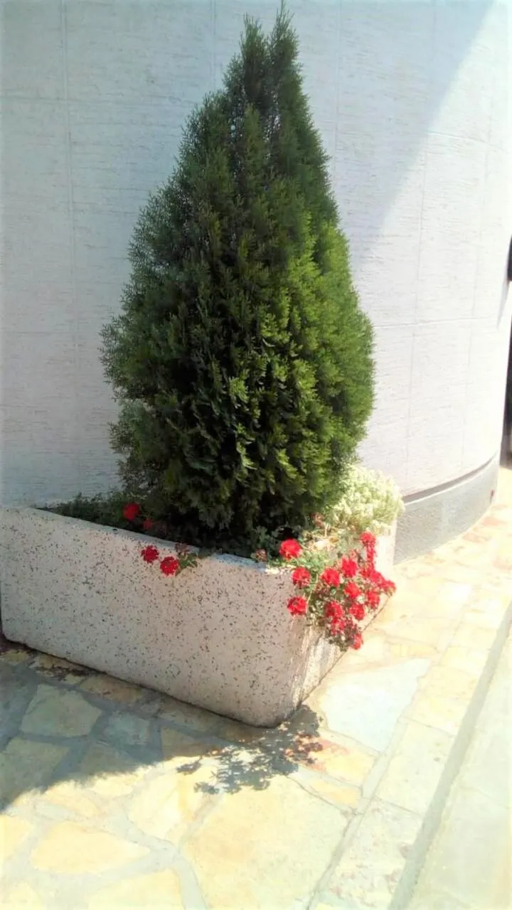 Decorative detail in Hotel Tehnograd