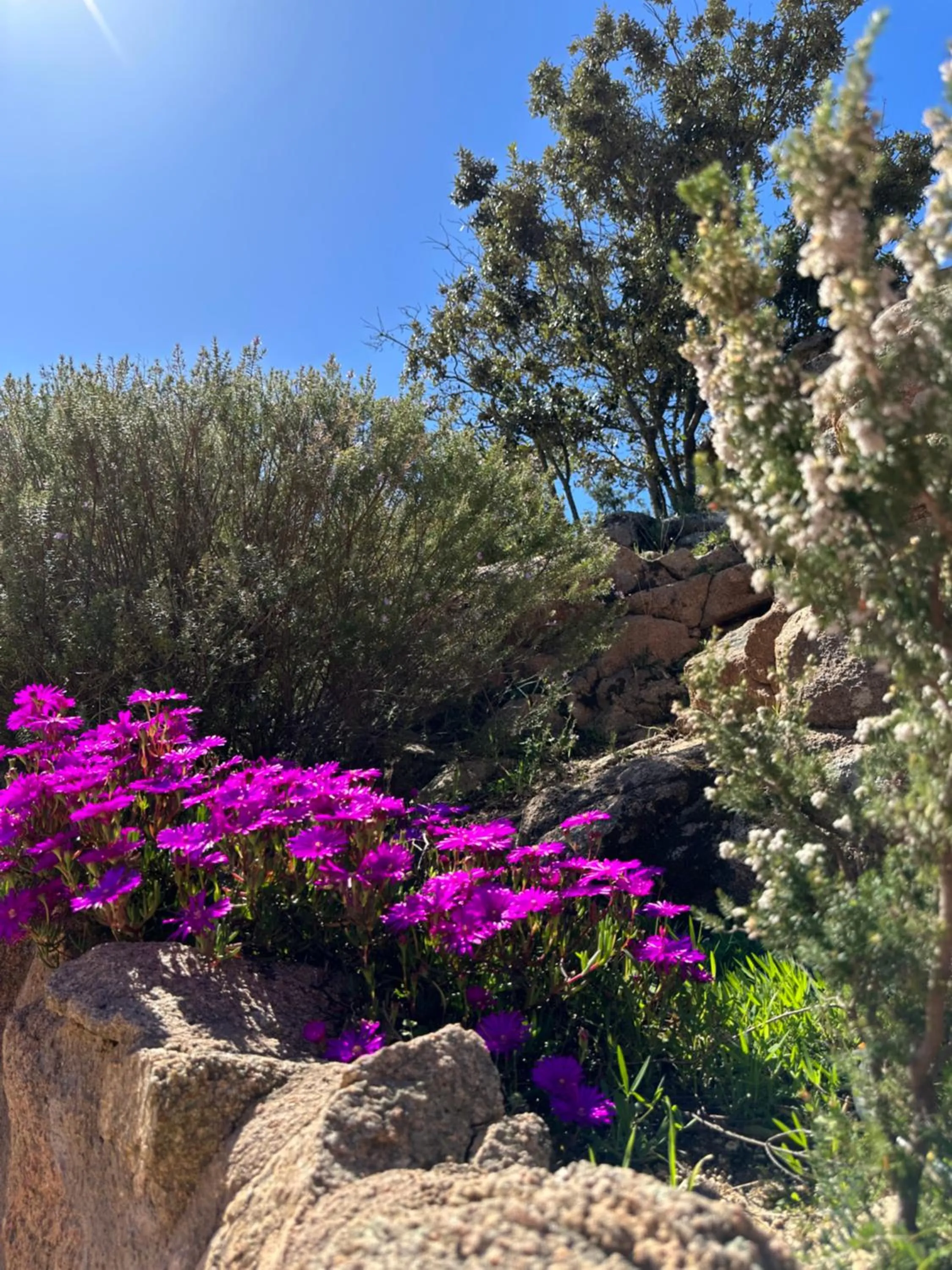 Spring in Residence Casa Di Paoli