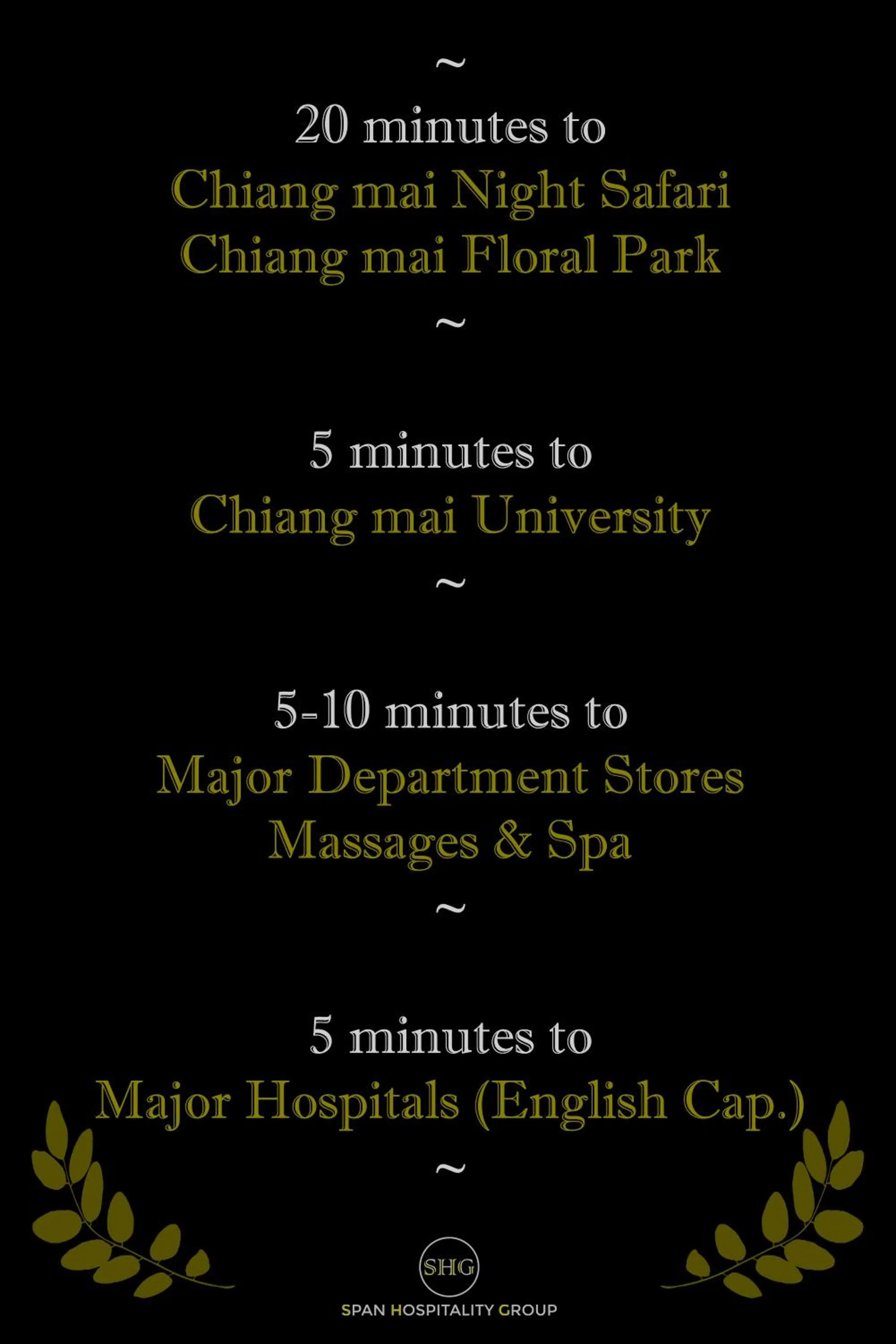 Stay in Style at Nimman R208