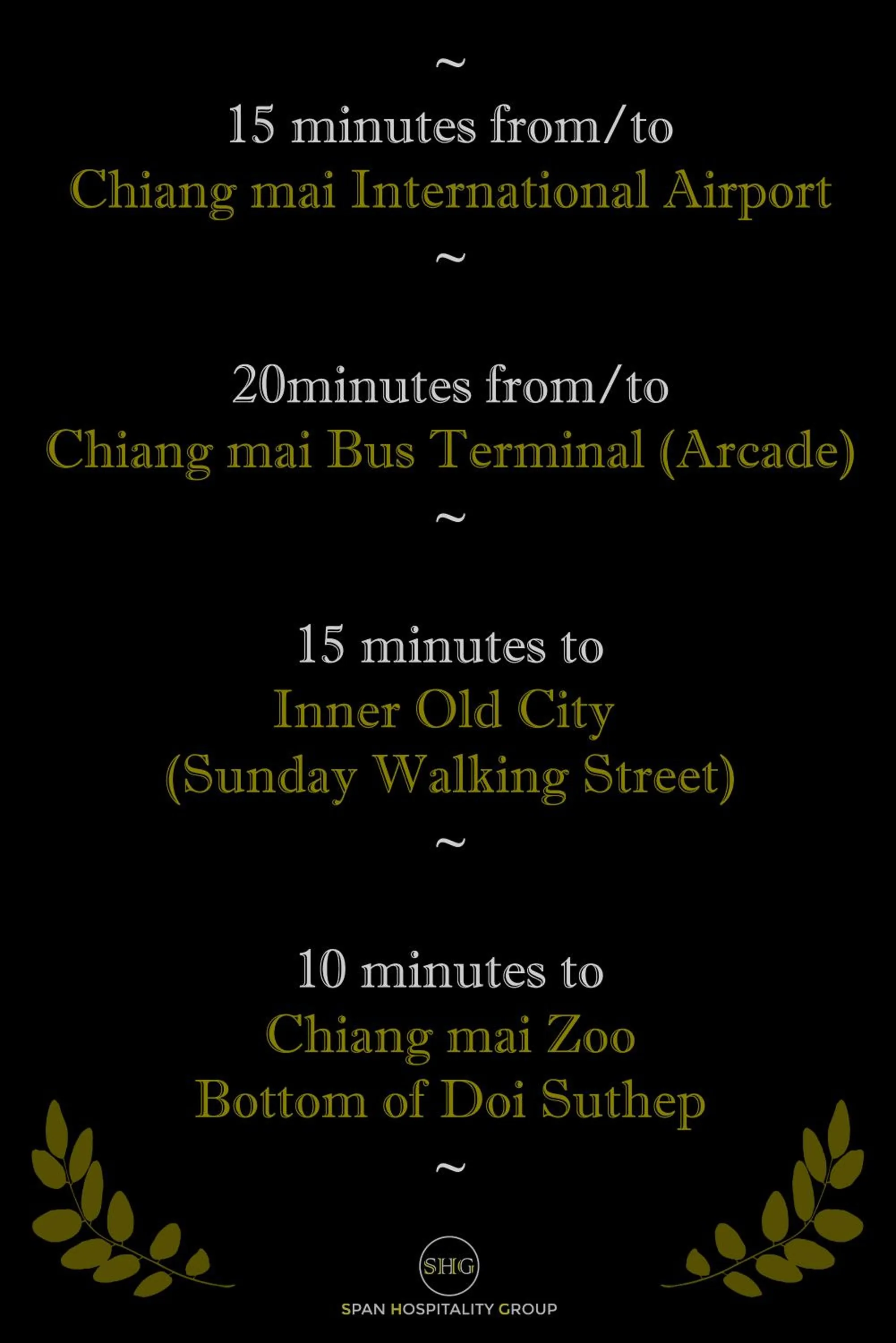 Stay in Style at Nimman R208