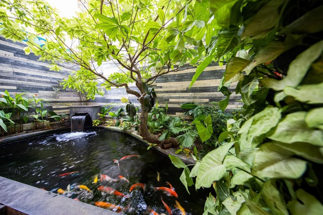 Natural landscape in Babylon Garden Da Nang
