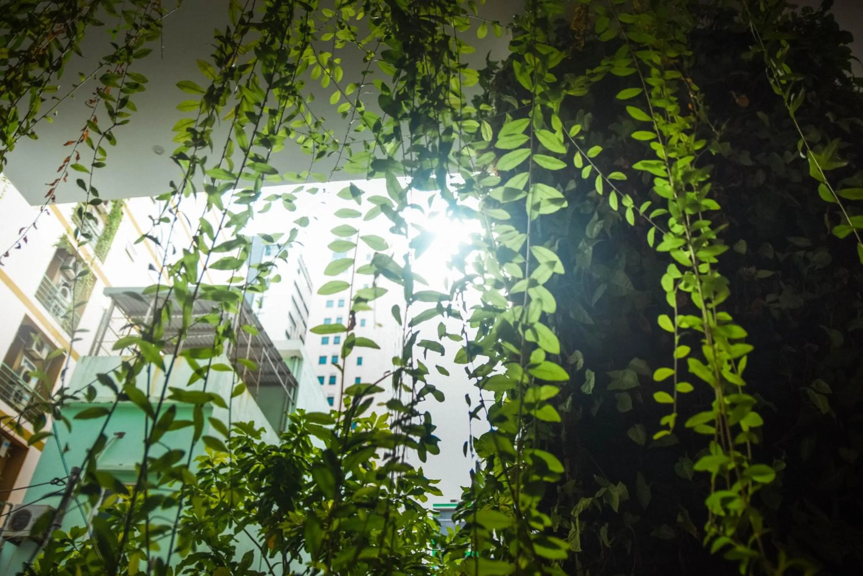 Decorative detail in Babylon Garden Da Nang
