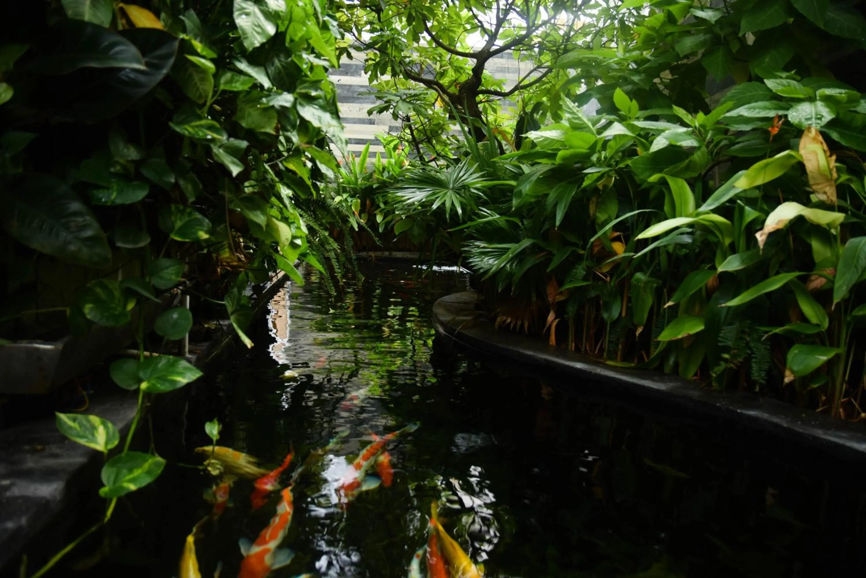Entertainment in Babylon Garden Da Nang