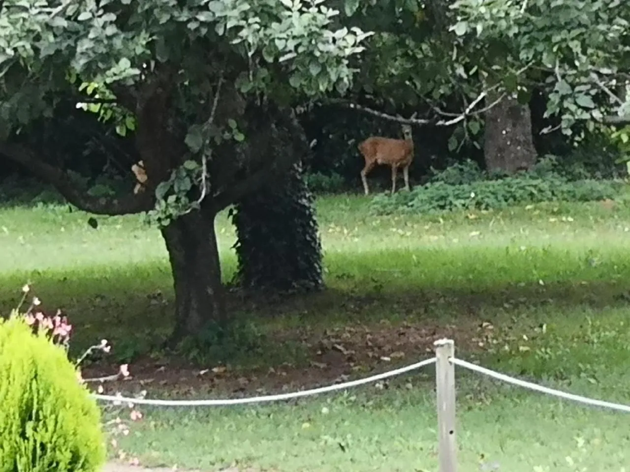 Natural landscape in Le petit plessis