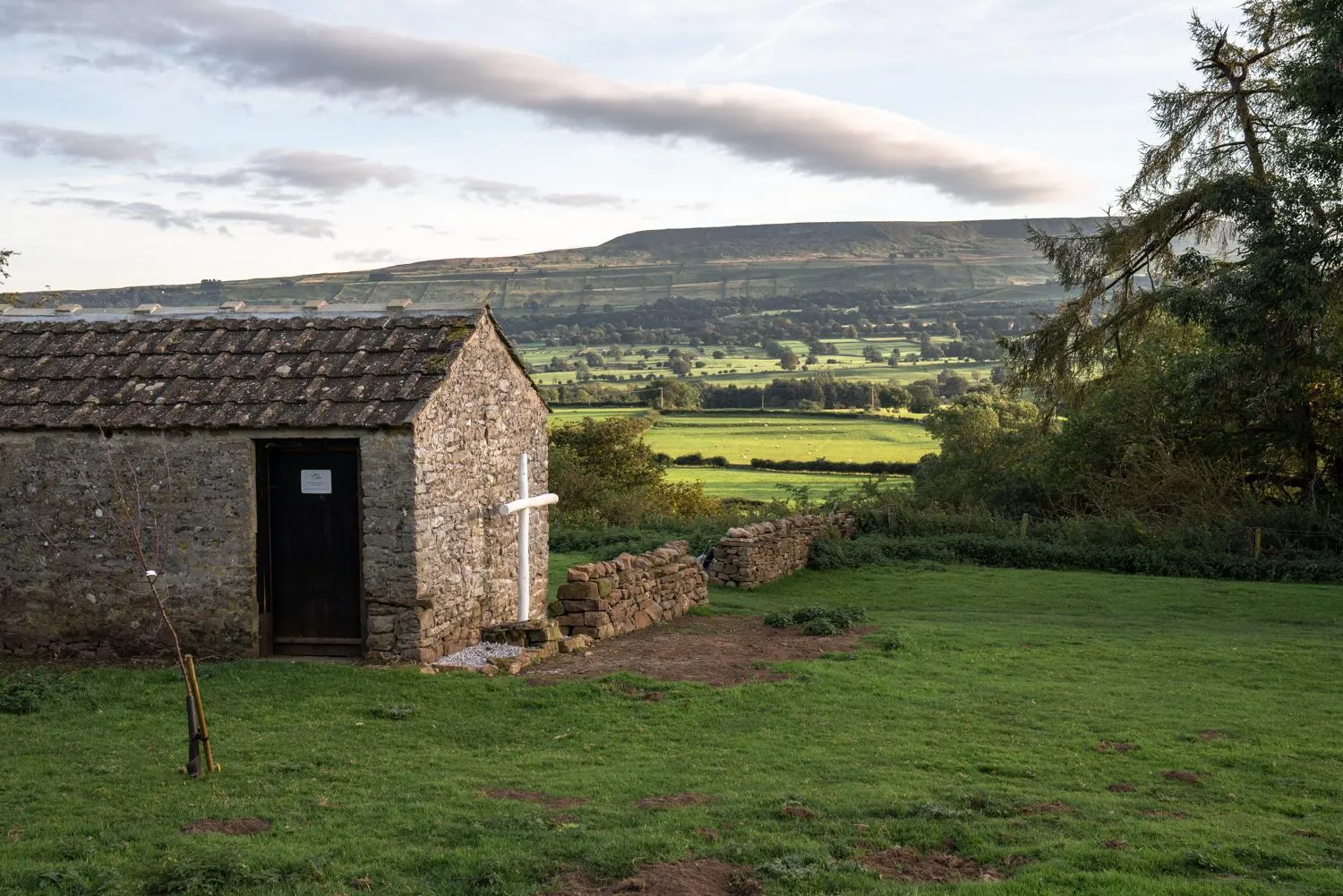 Natural landscape in The Jonas Centre