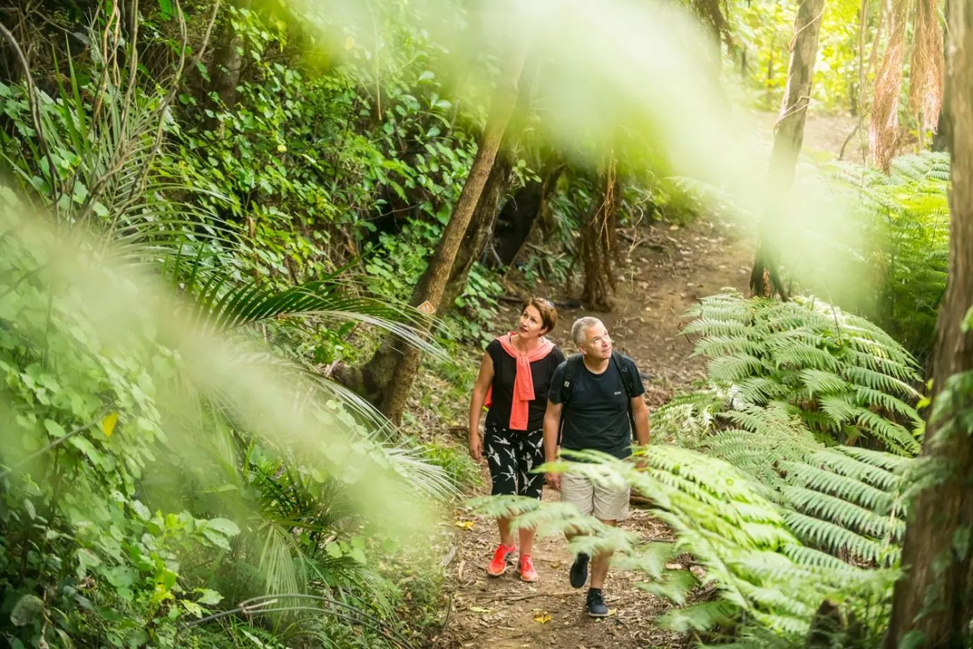 Hiking in Bay of Many Coves