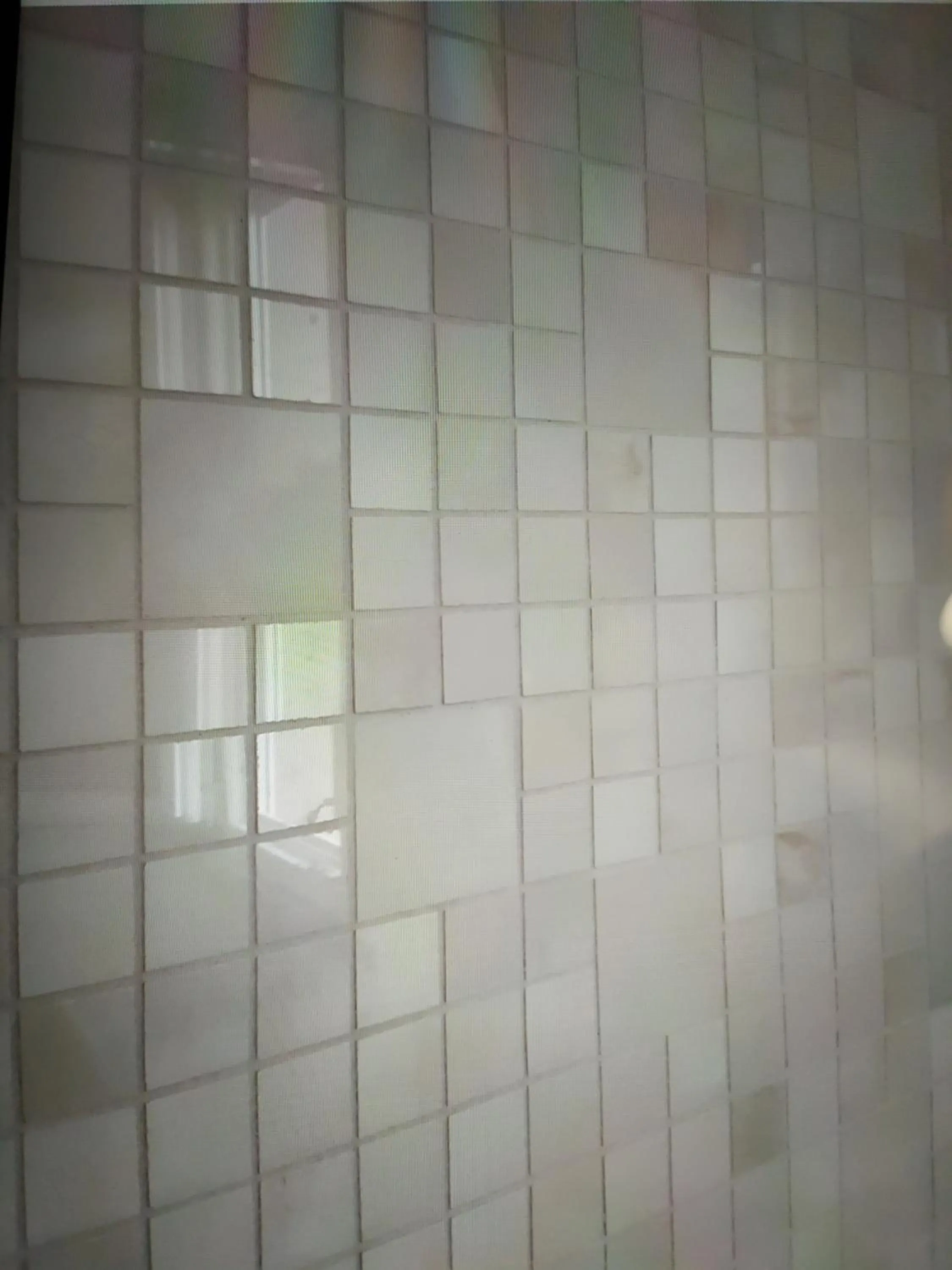 Shower in B&B MOLIN DEL TOPO