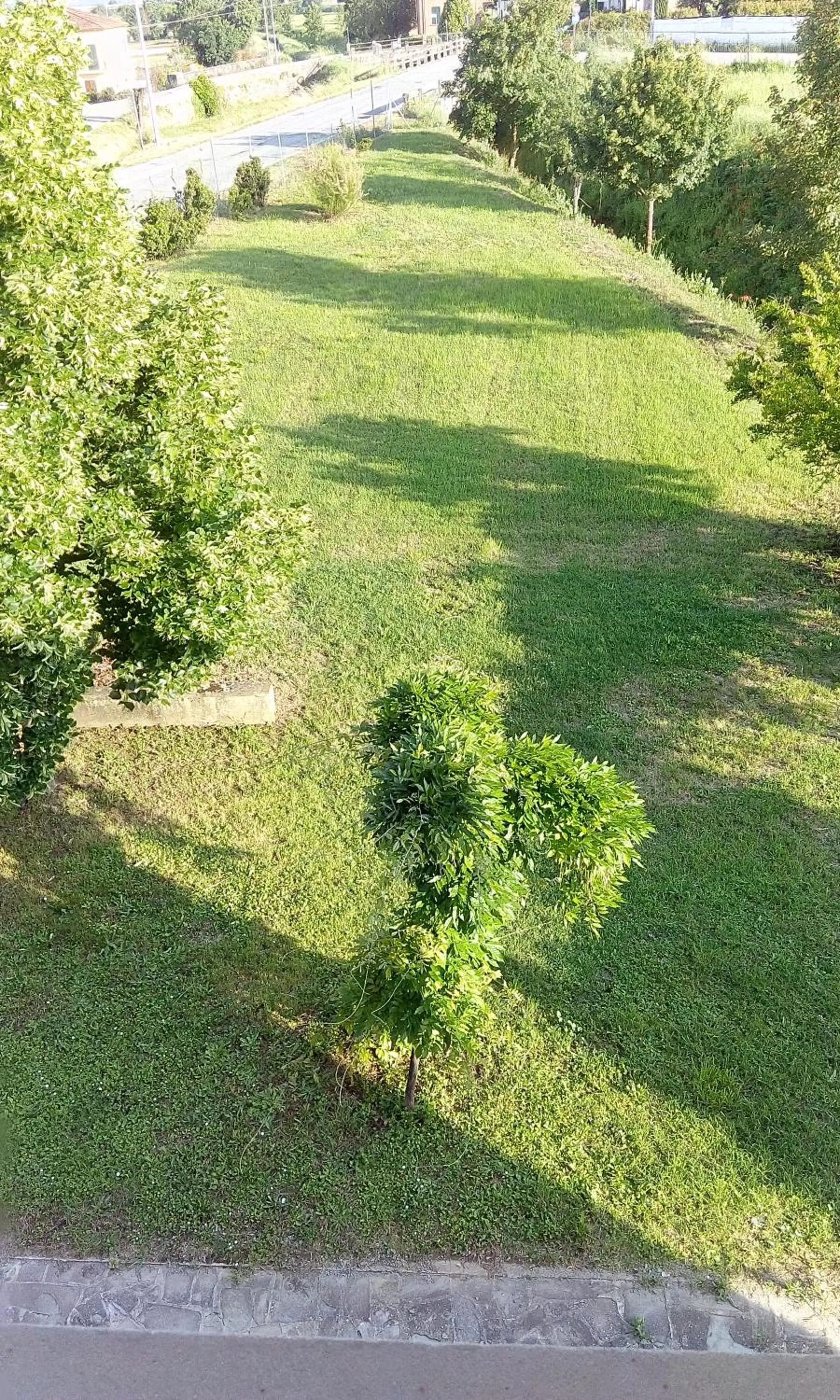 Garden in B&B MOLIN DEL TOPO