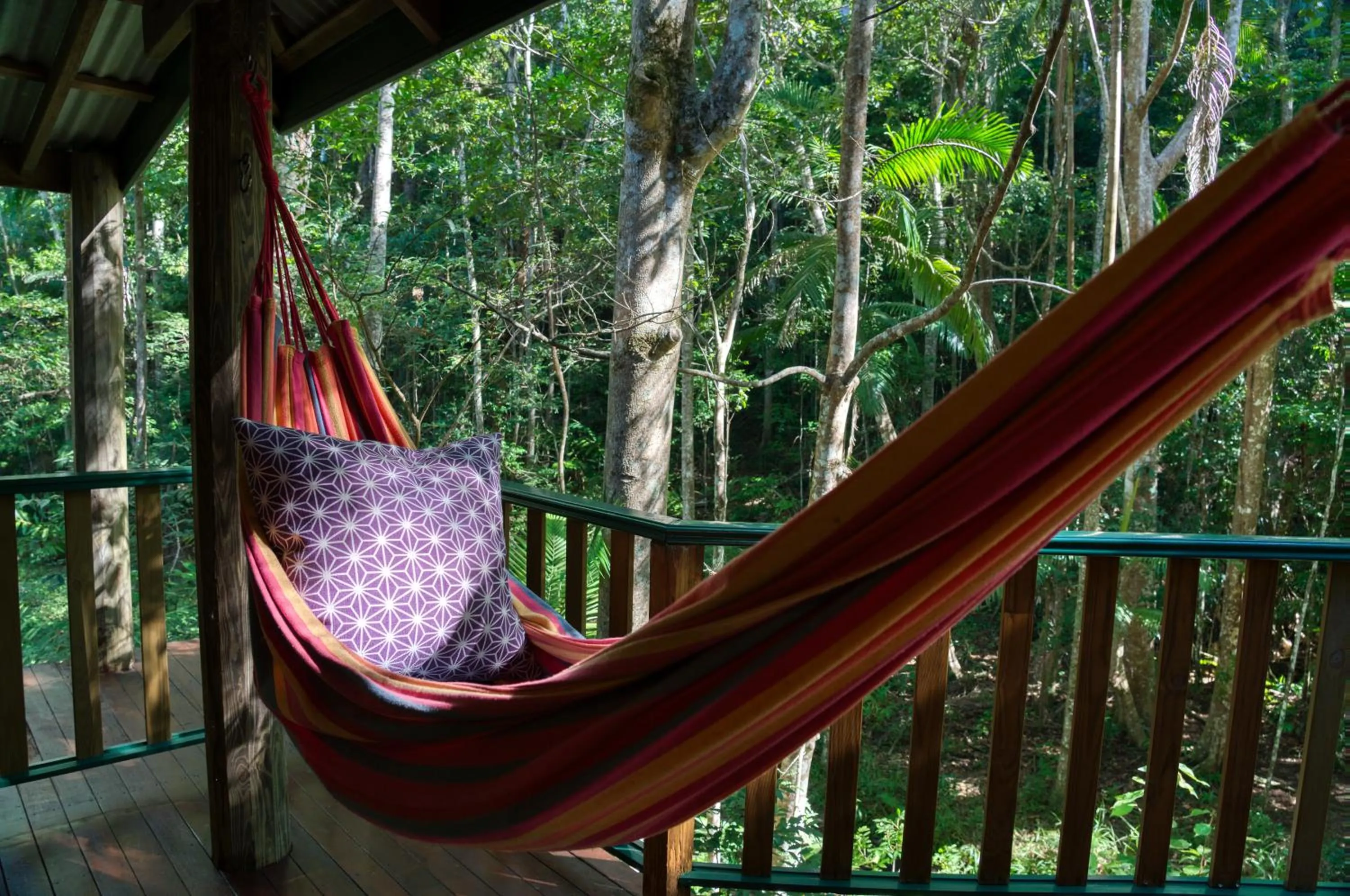 Balcony/Terrace in Narrows Escape Rainforest Retreat