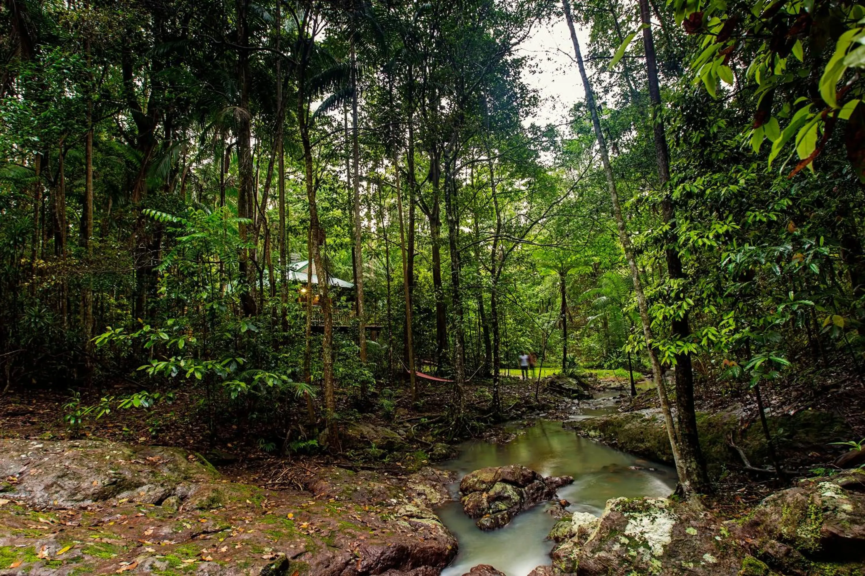 Area and facilities in Narrows Escape Rainforest Retreat