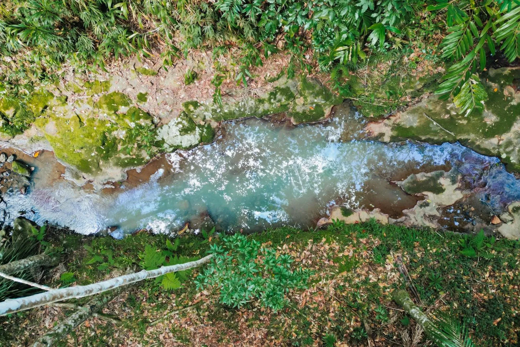 Natural landscape in Narrows Escape Rainforest Retreat