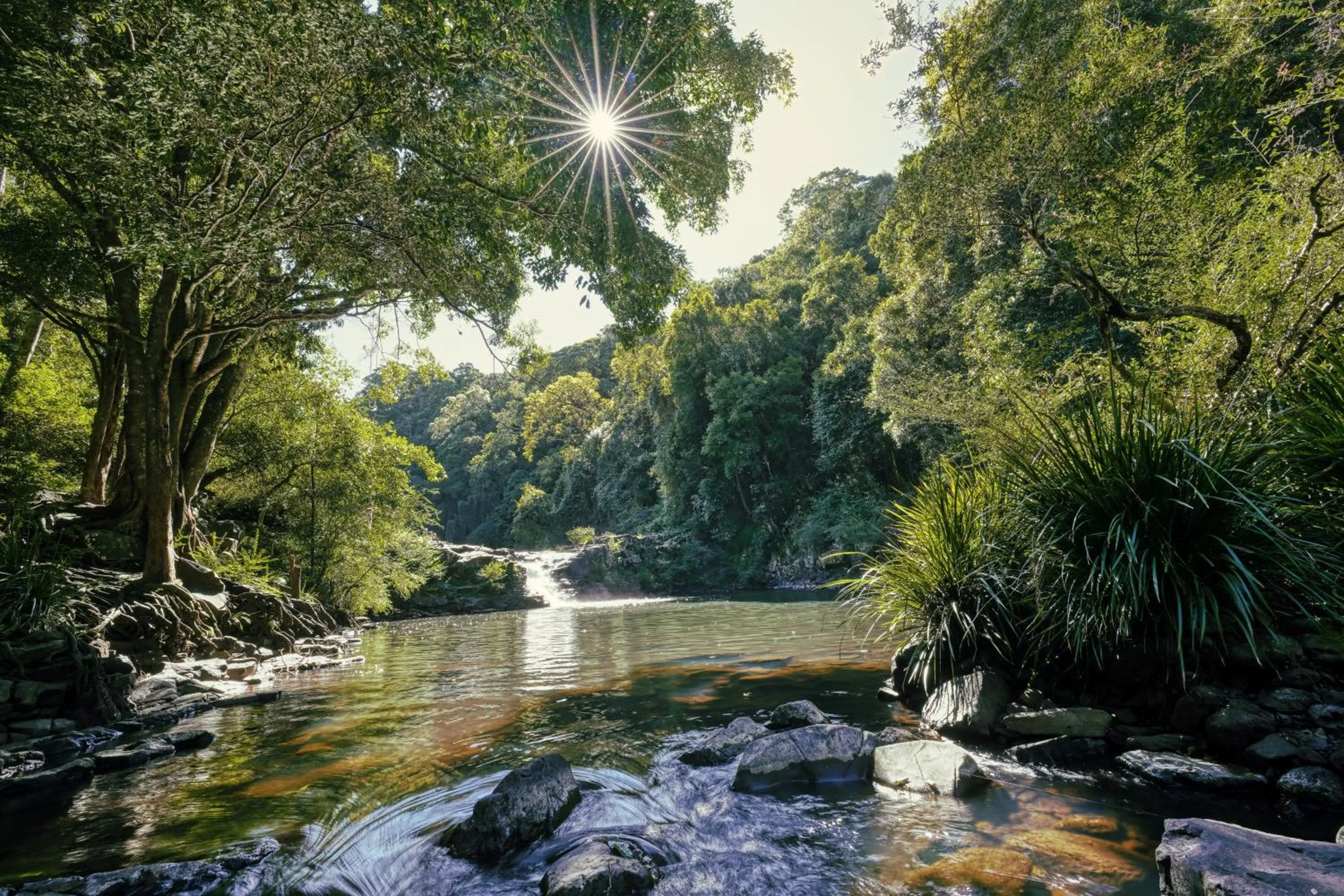 Activities in Narrows Escape Rainforest Retreat