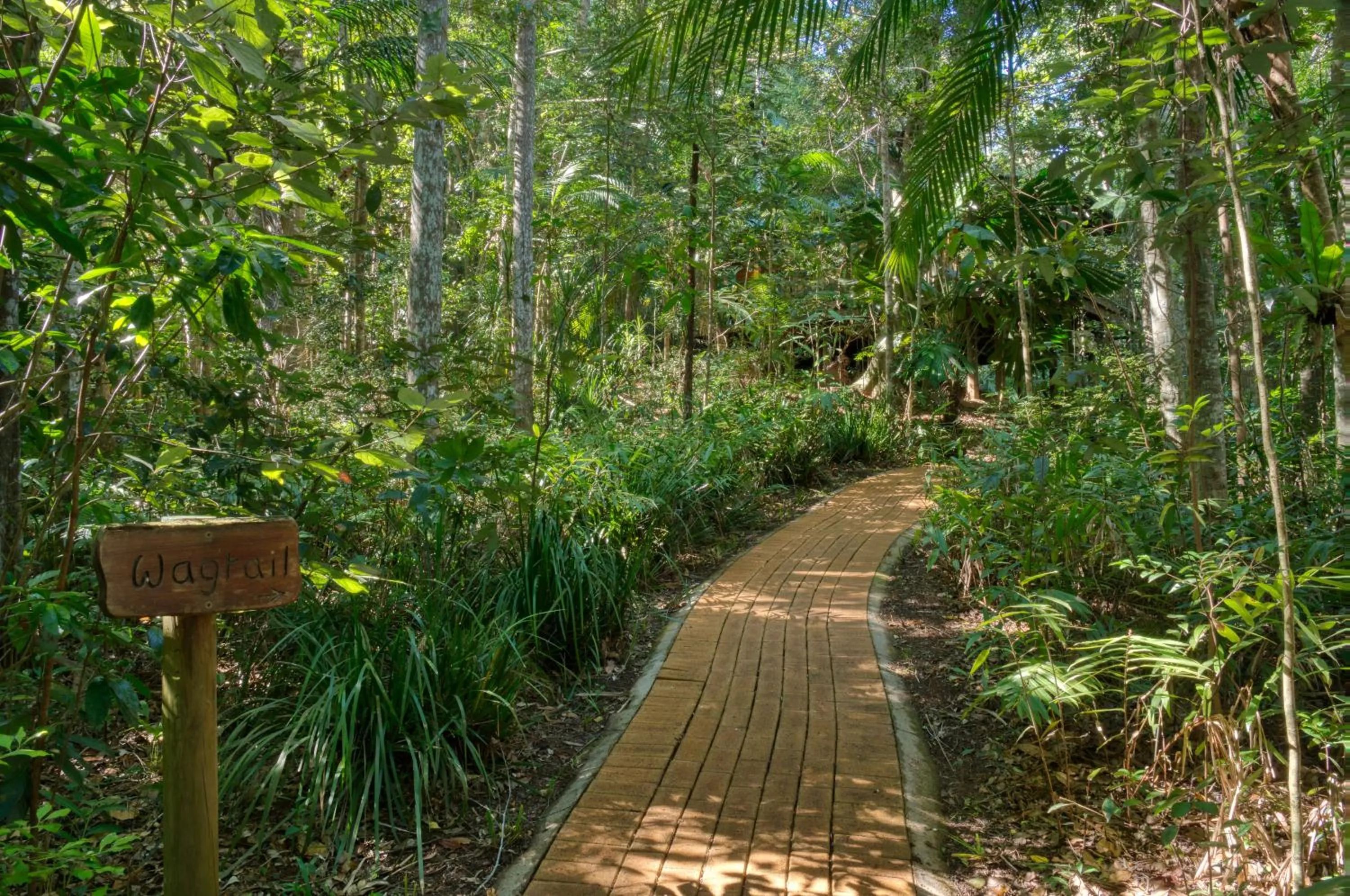 Natural landscape in Narrows Escape Rainforest Retreat