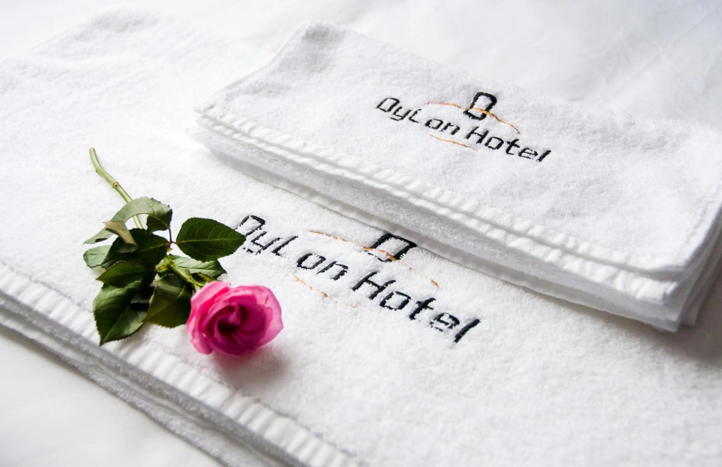 Decorative detail in Dylan Hotel Danang