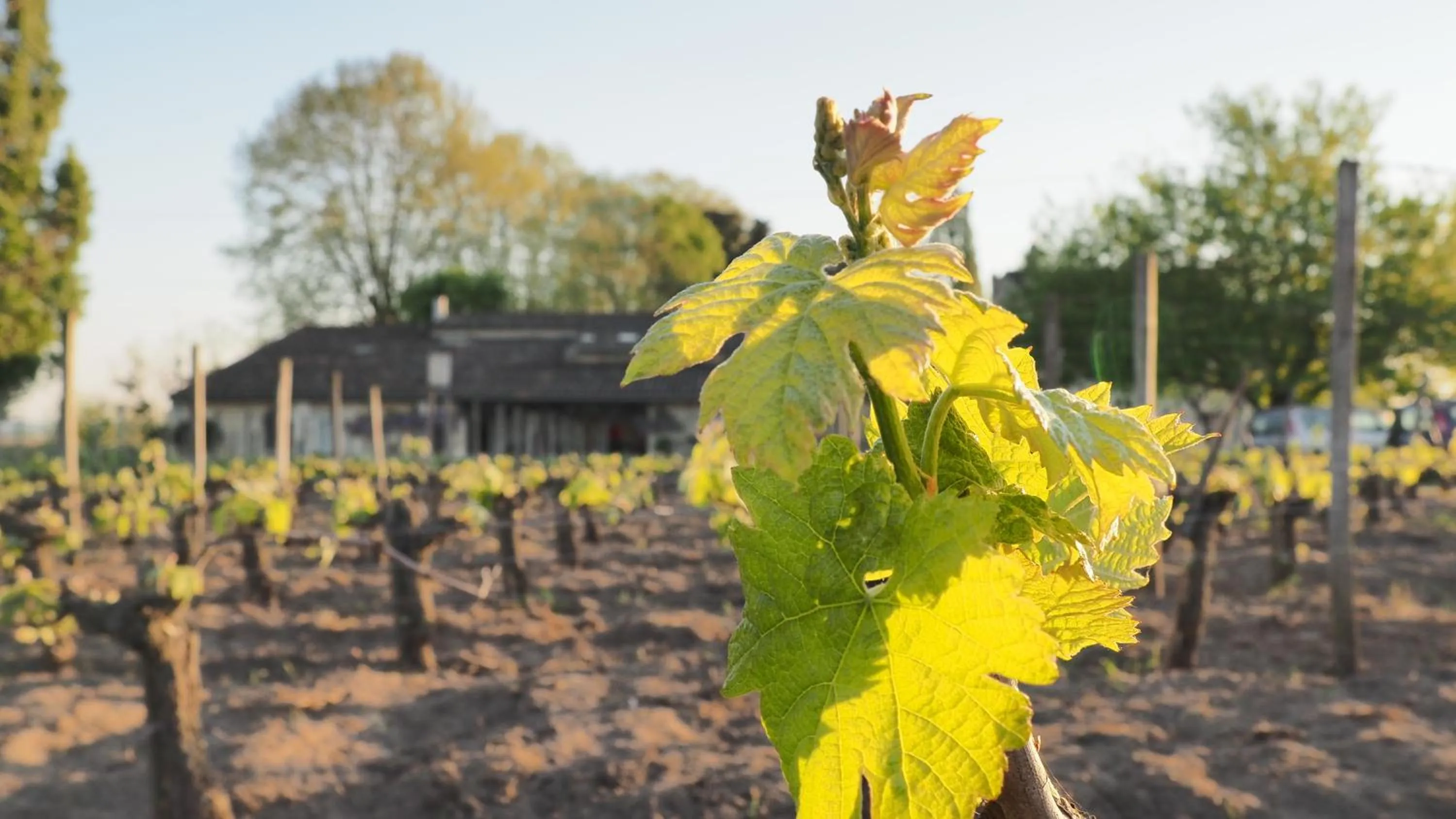 B&B Château Pierre de Lune