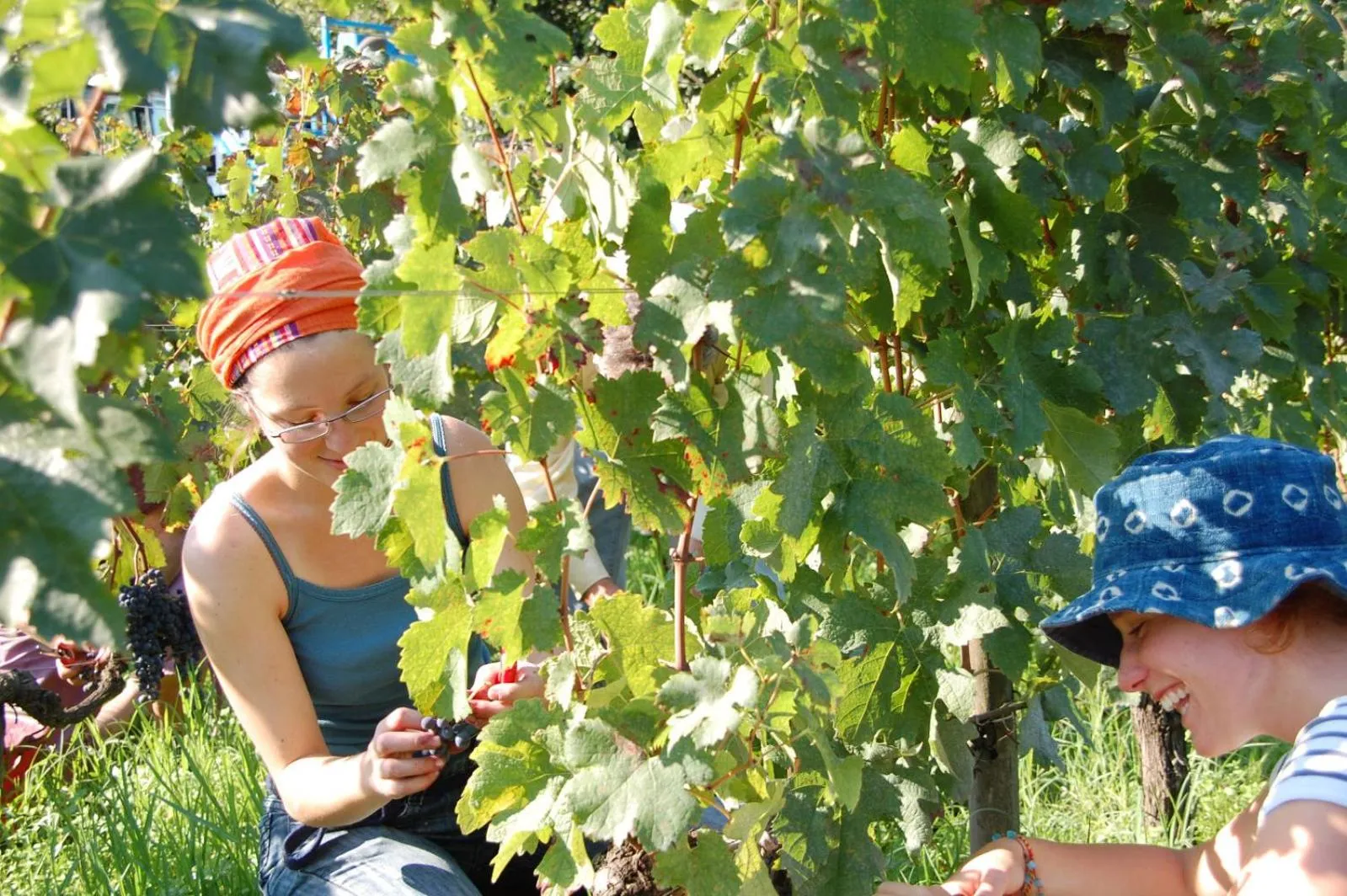 B&B Château Pierre de Lune
