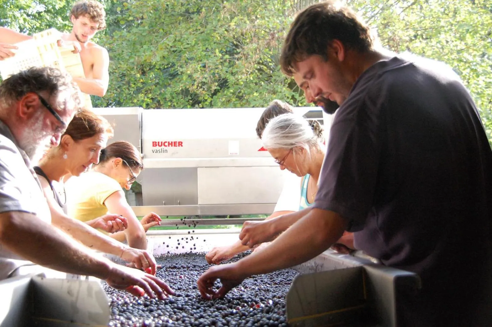 B&B Château Pierre de Lune