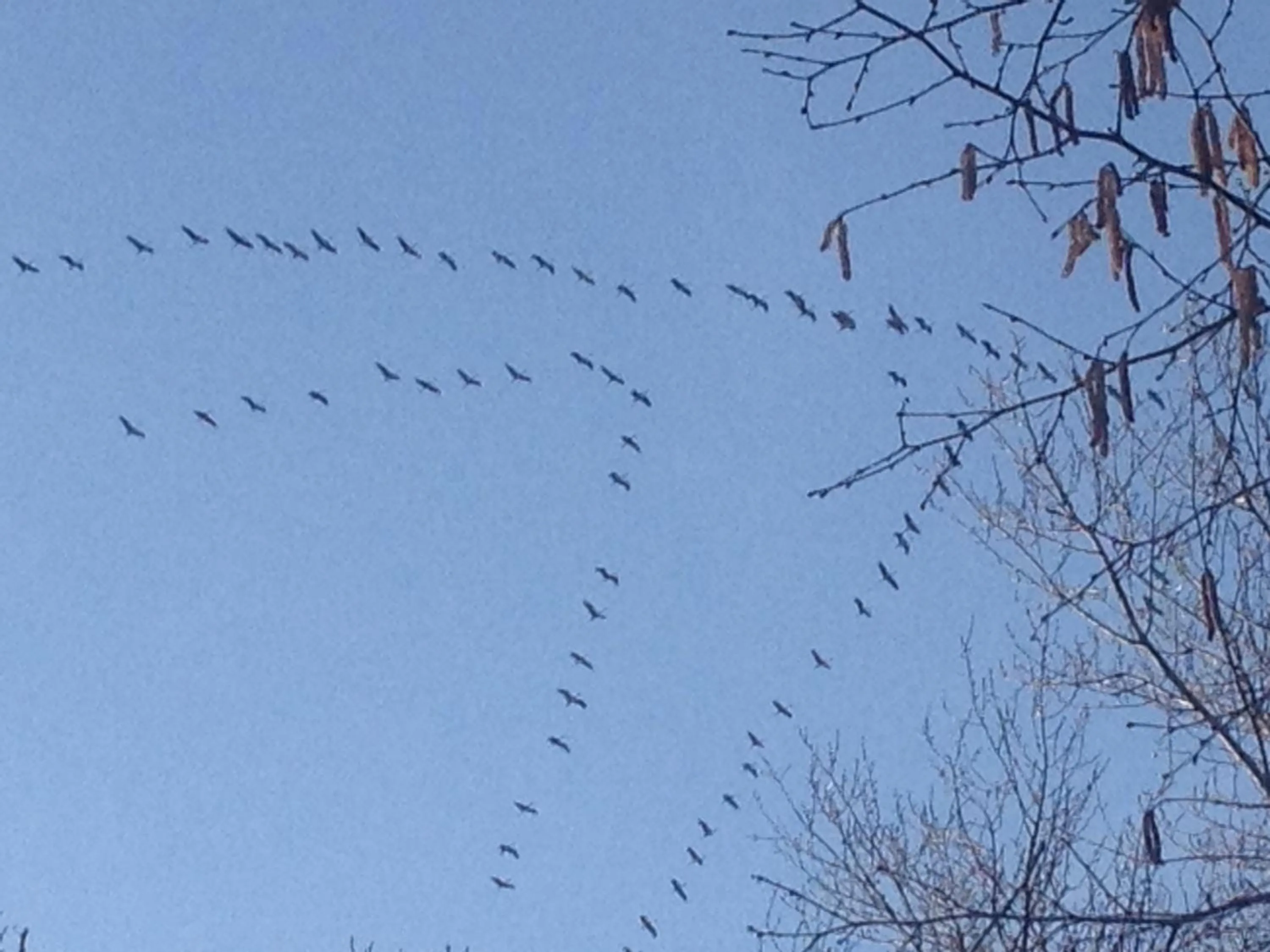 B&B Château Pierre de Lune