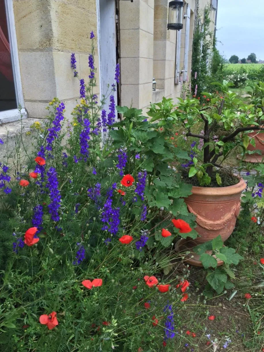 B&B Château Pierre de Lune