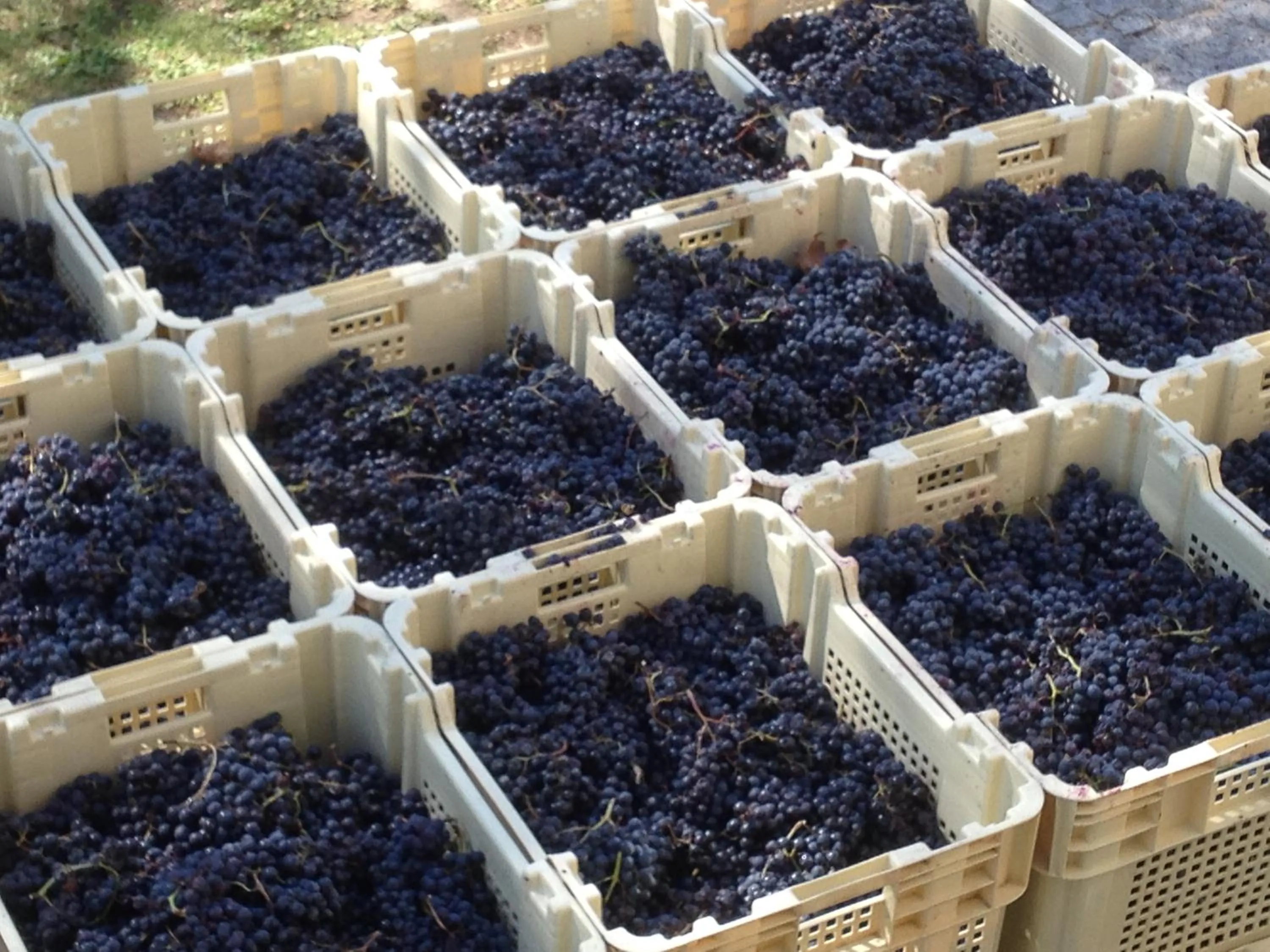 B&B Château Pierre de Lune