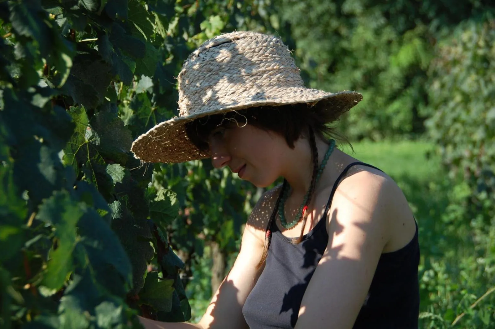 B&B Château Pierre de Lune