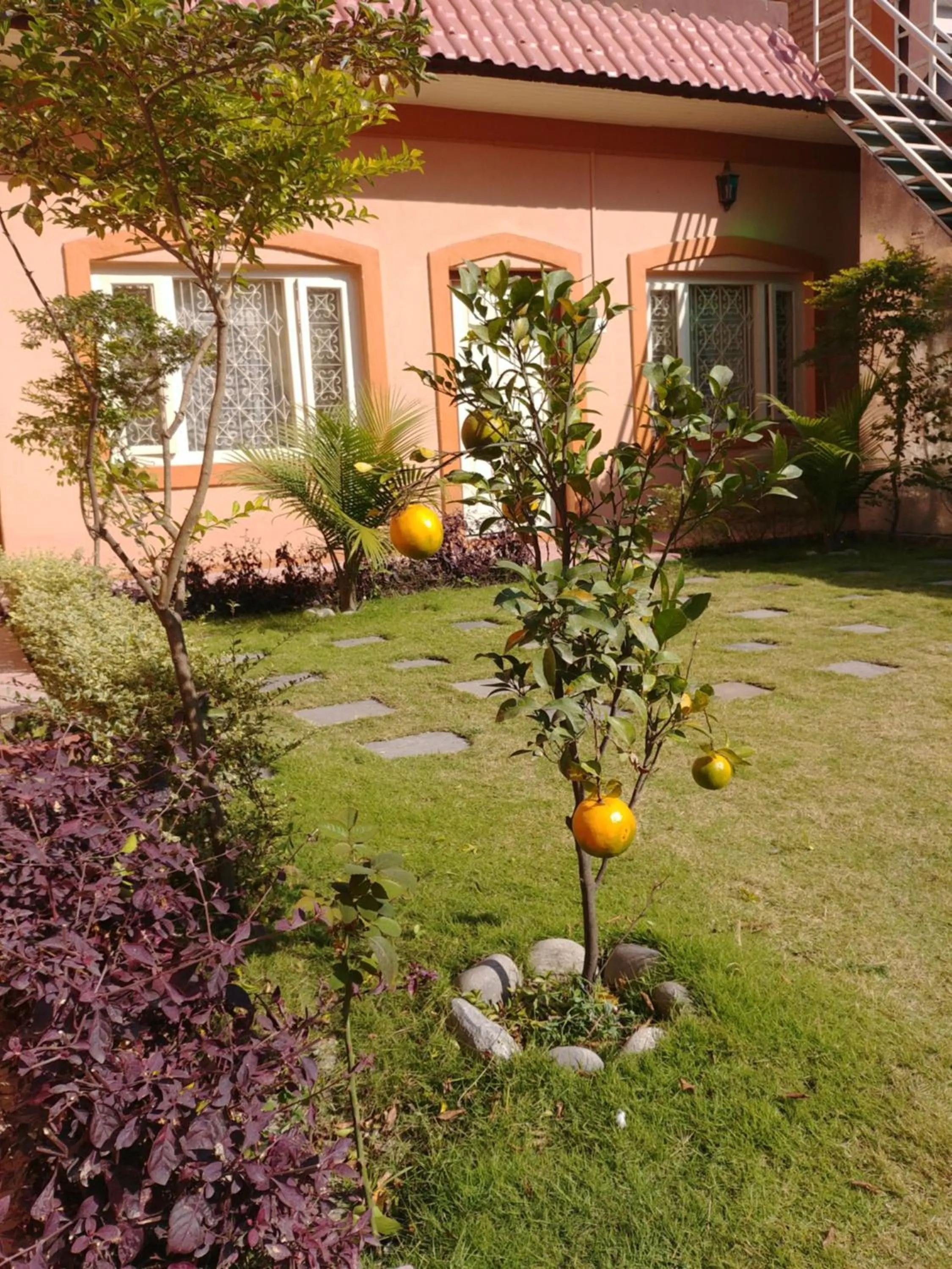Garden in Aarya Chaitya Inn