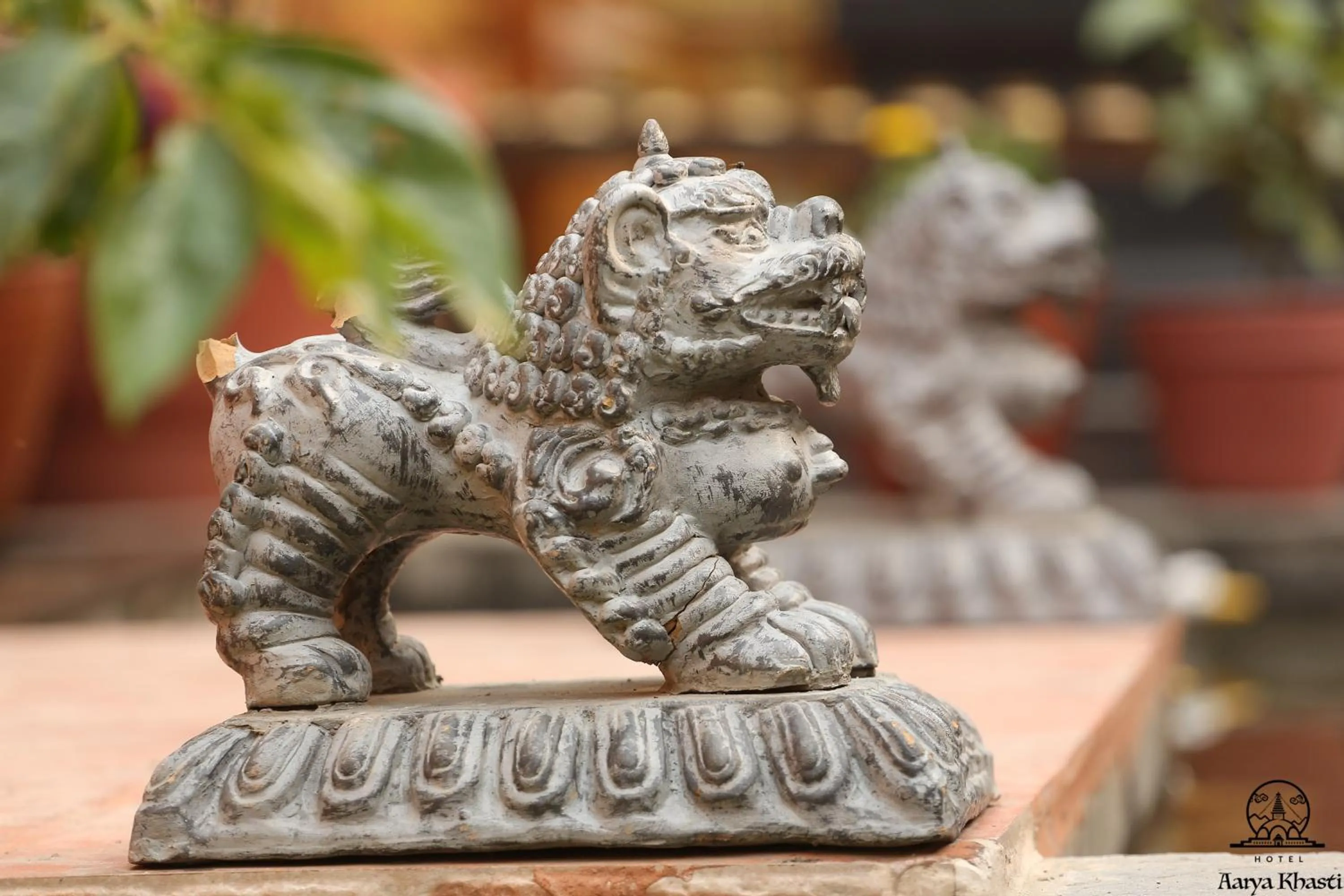 Garden in Aarya Chaitya Inn