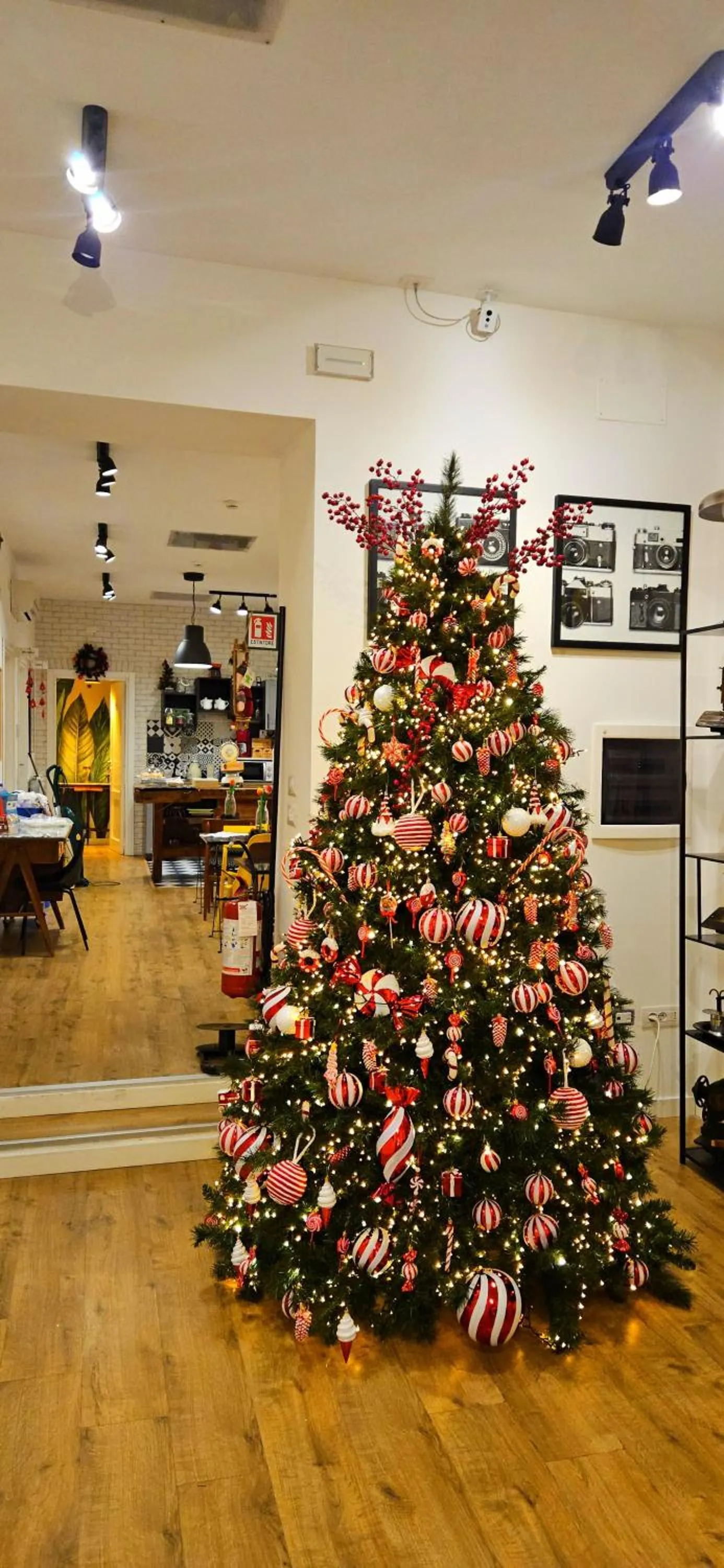 Breakfast in Daily Napoli - Lungomare