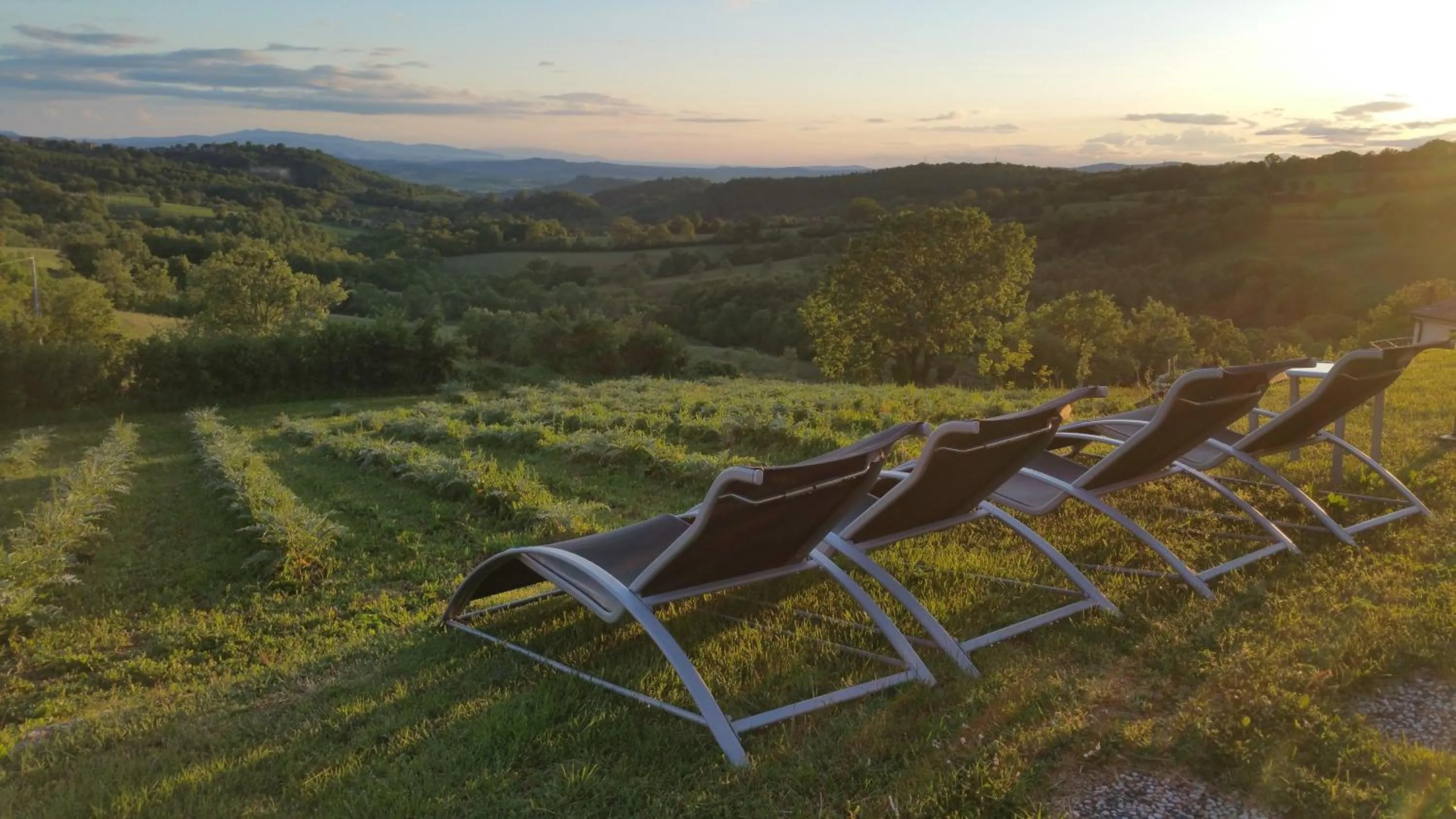 Garden in Agriturismo La Meria