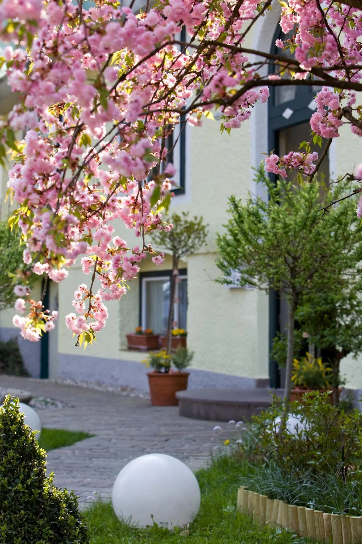 Facade/entrance in Hotel Rosenvilla