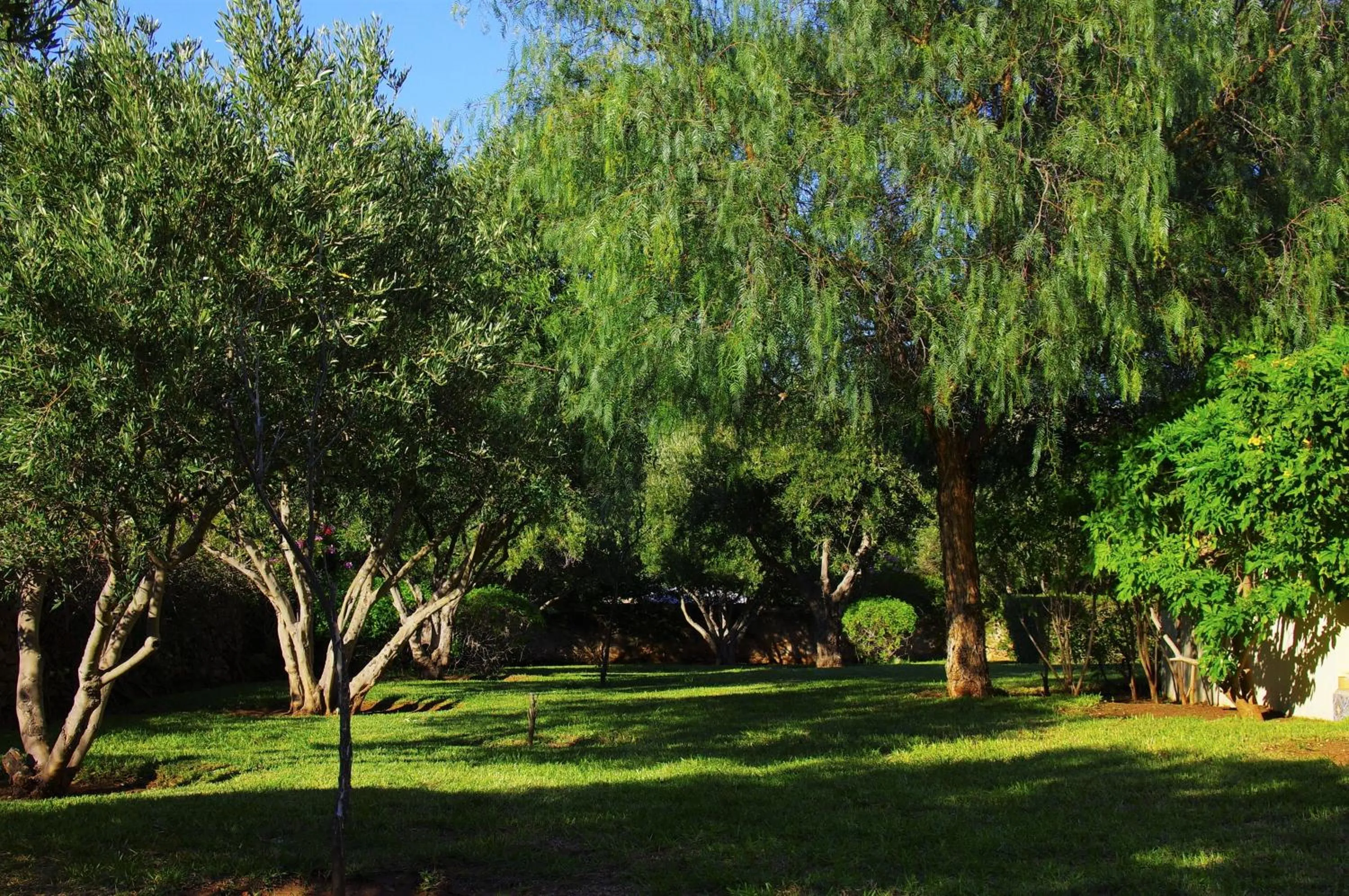 Garden in Essaouira Lodge