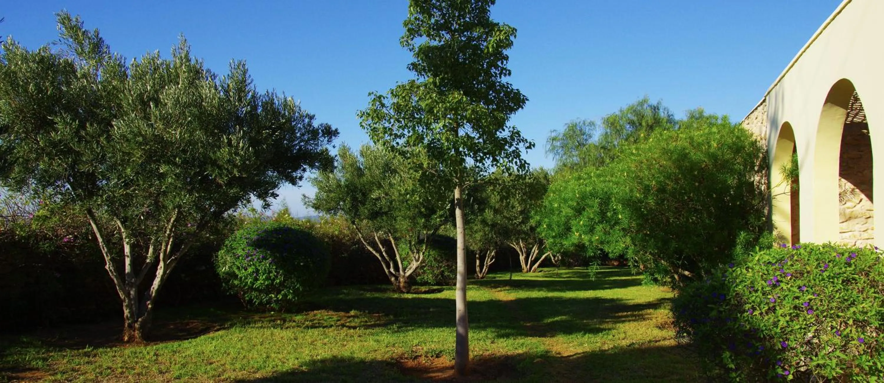 Garden in Essaouira Lodge