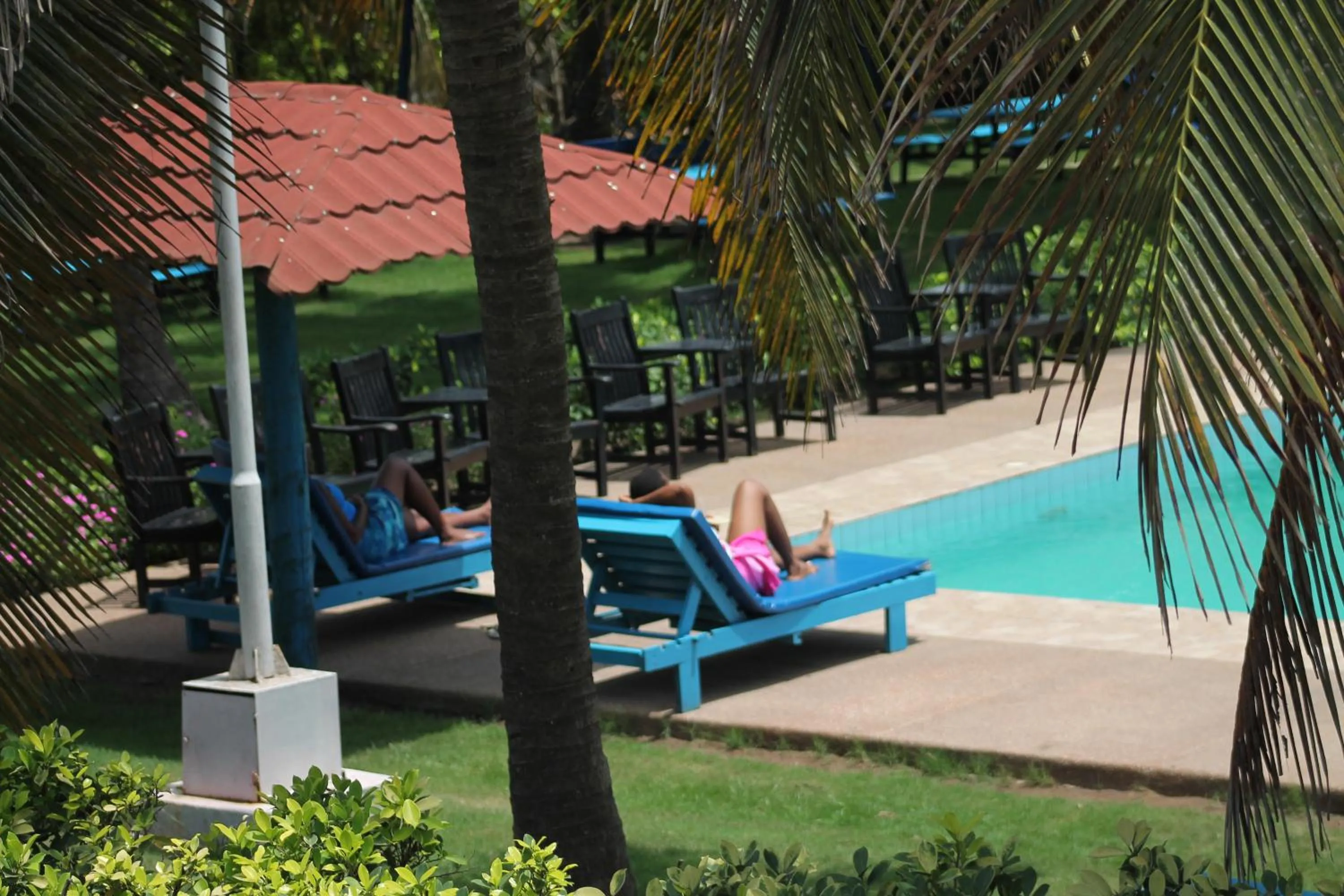 Swimming pool in Hotel Novela Star