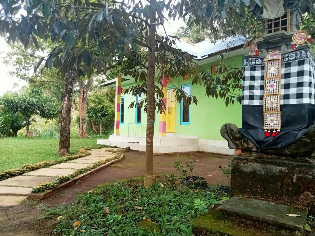 Sekumpul Local House