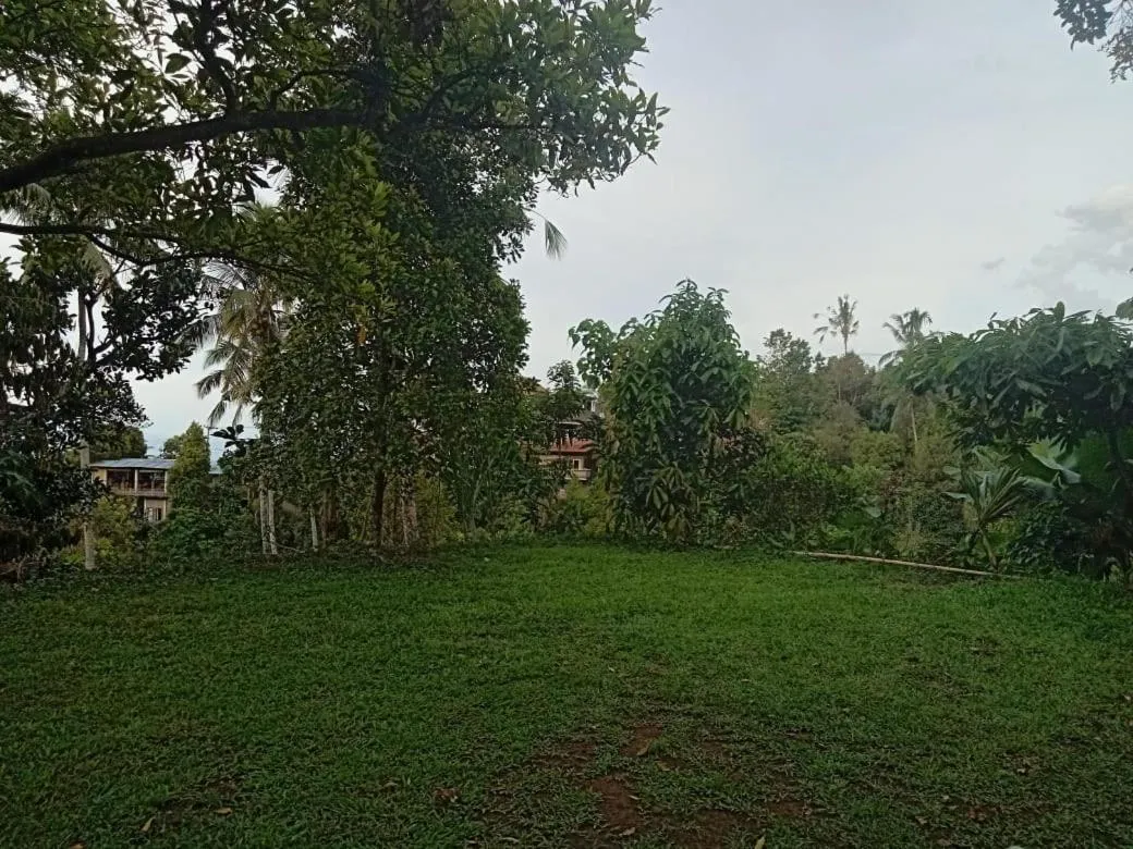 Sekumpul Local House