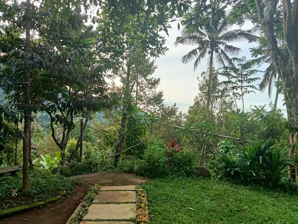 Sekumpul Local House