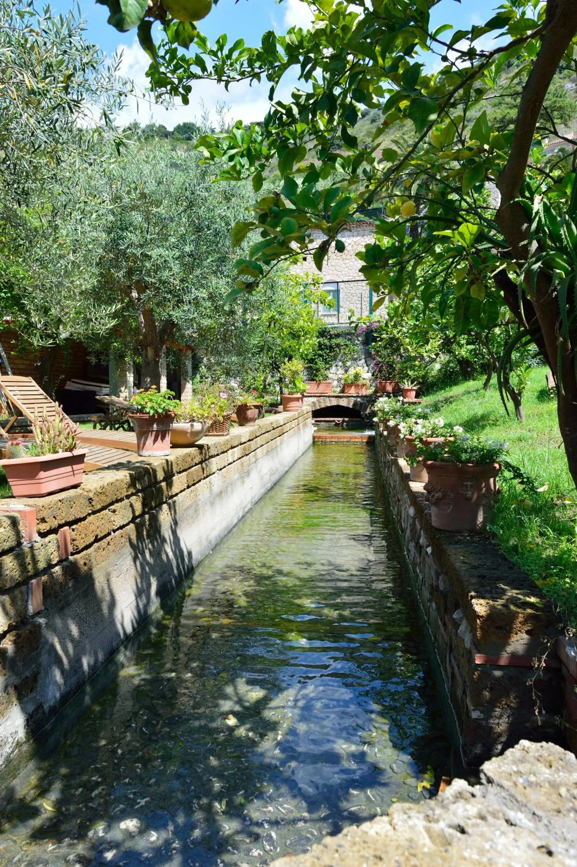 Garden in Hotel Acquasanta