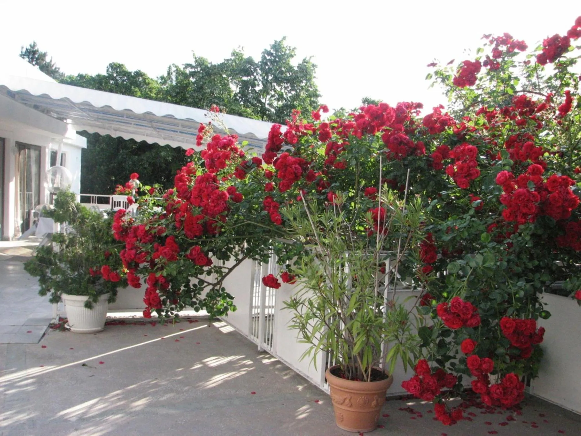 Other in Hotel Horizont