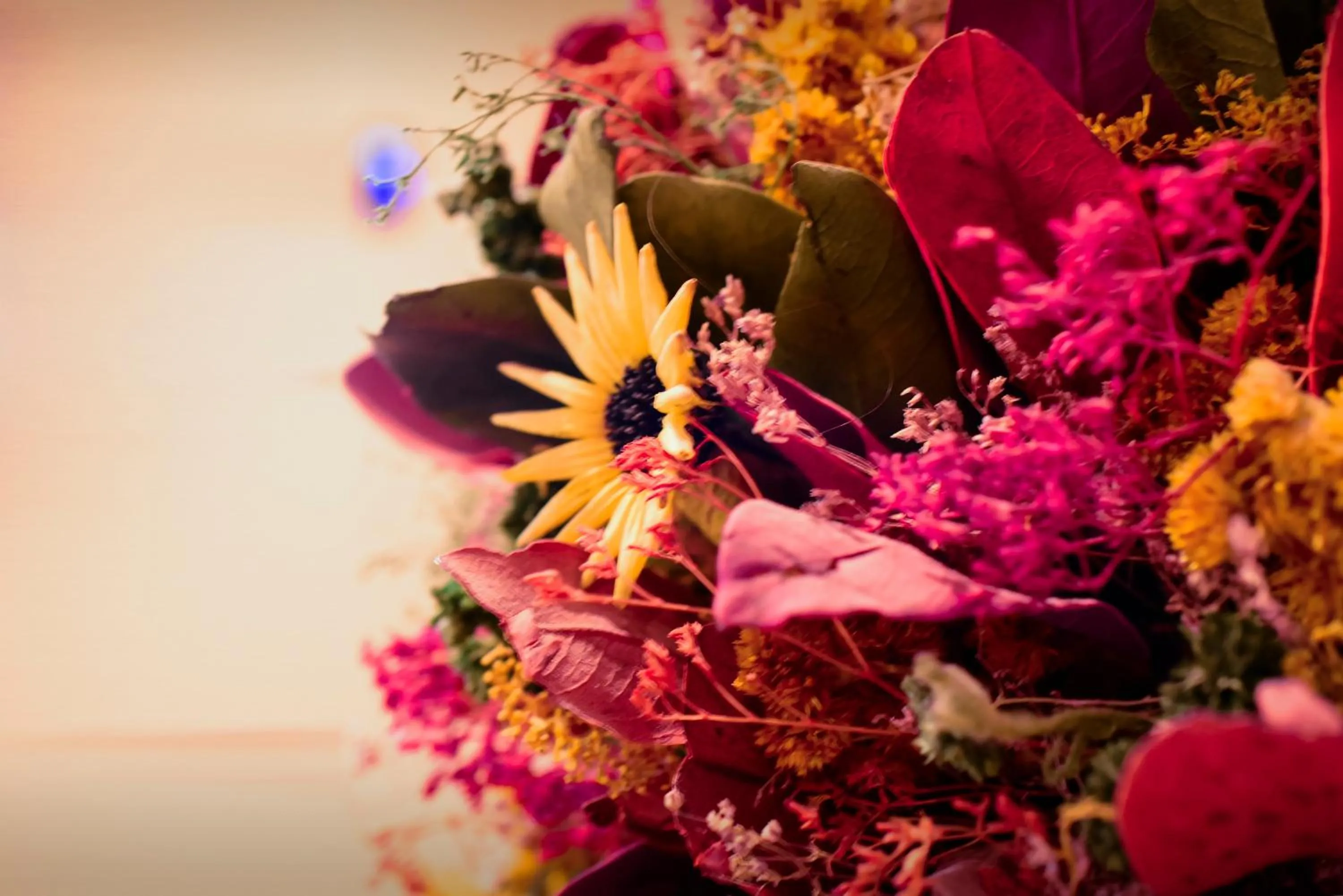 Food and drinks in Hotel Boutique Gold Garden