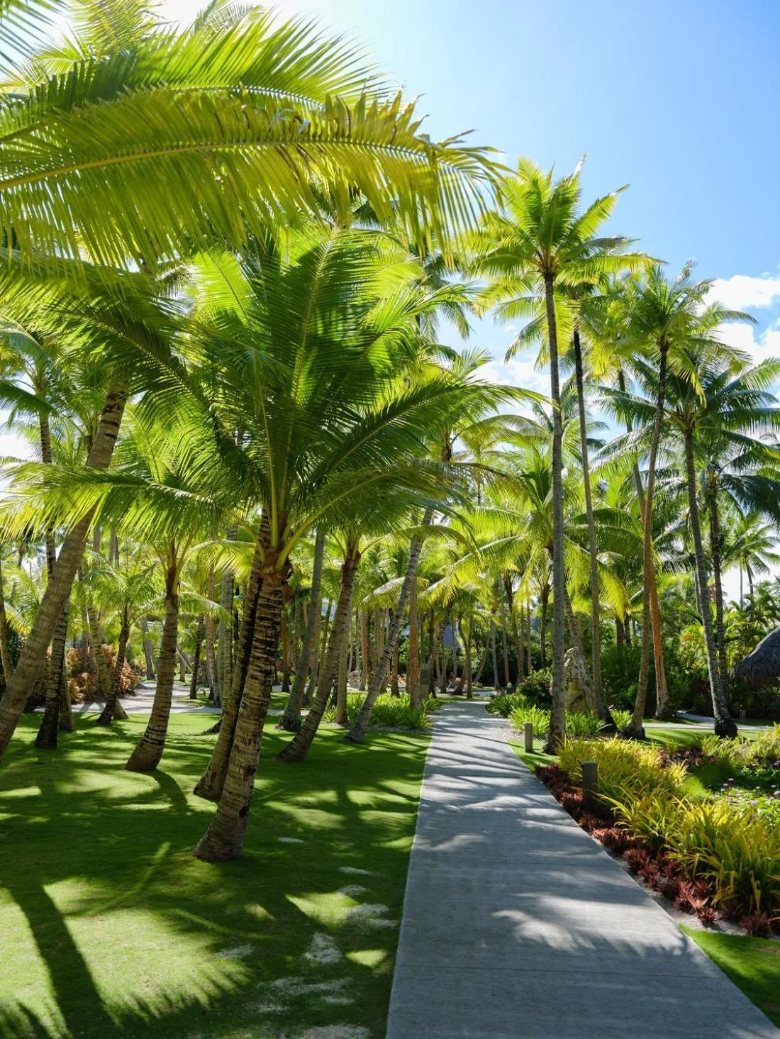 Garden in Le Bora Bora by Pearl Resorts