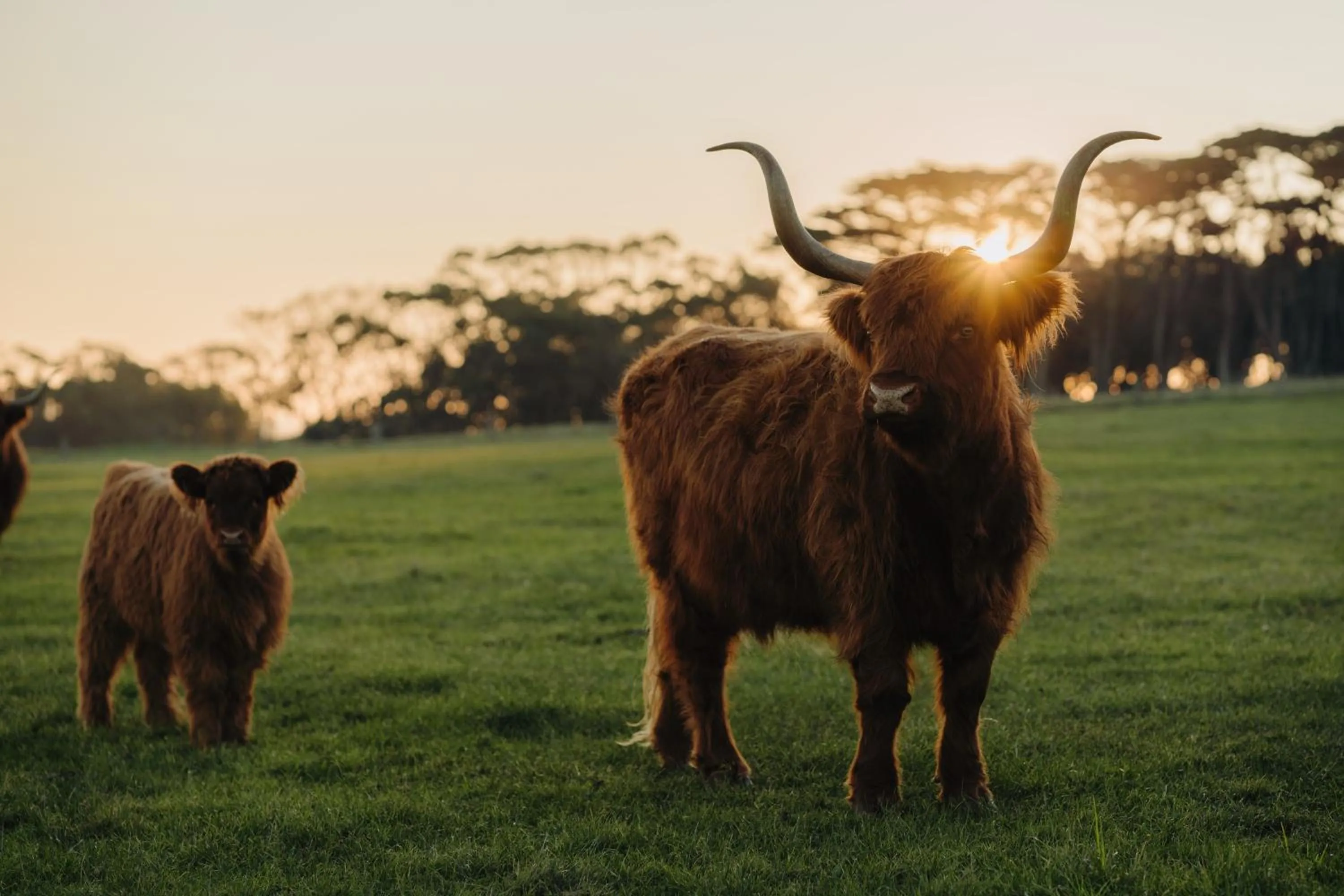 Day in The Island Accommodation