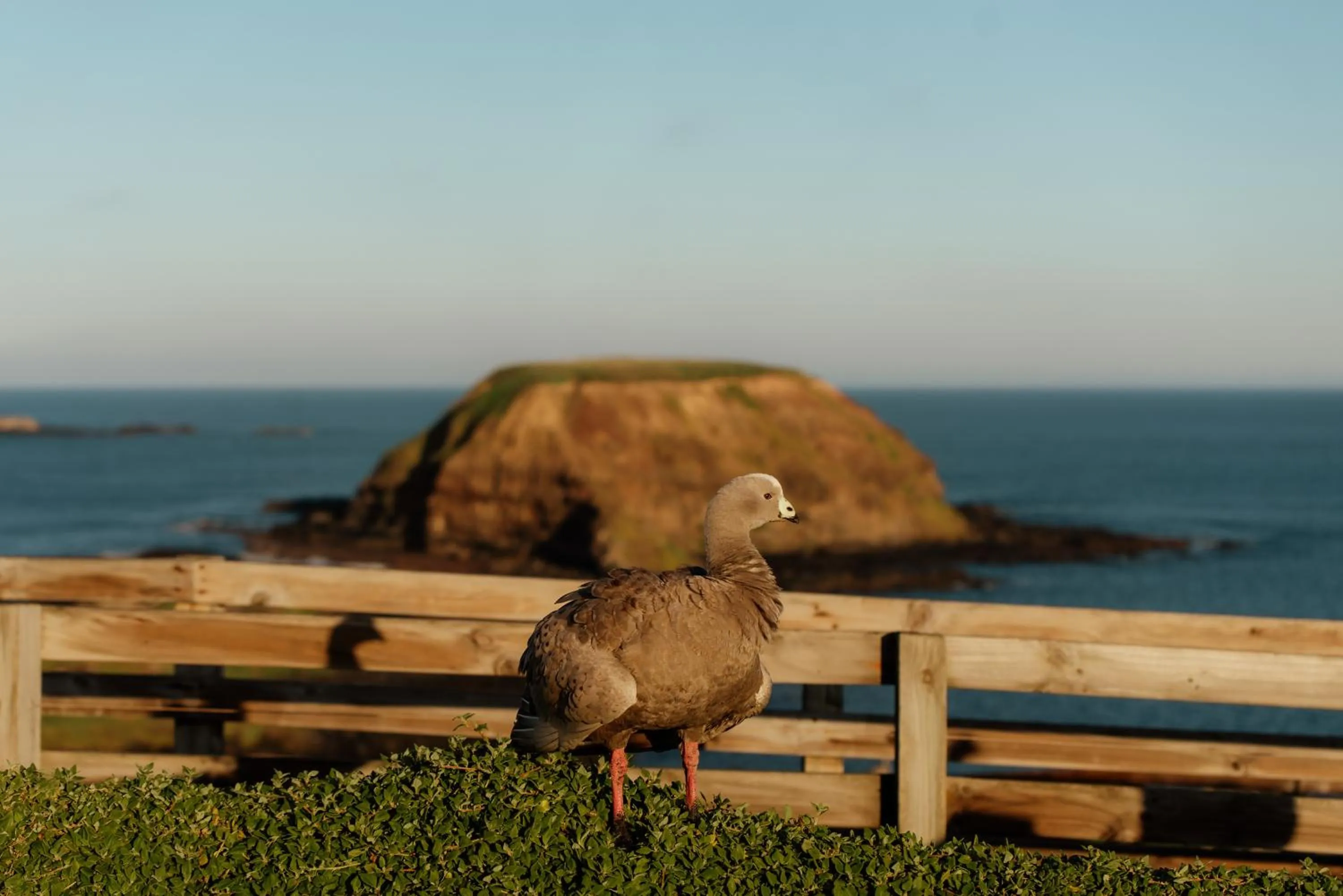 Day in The Island Accommodation