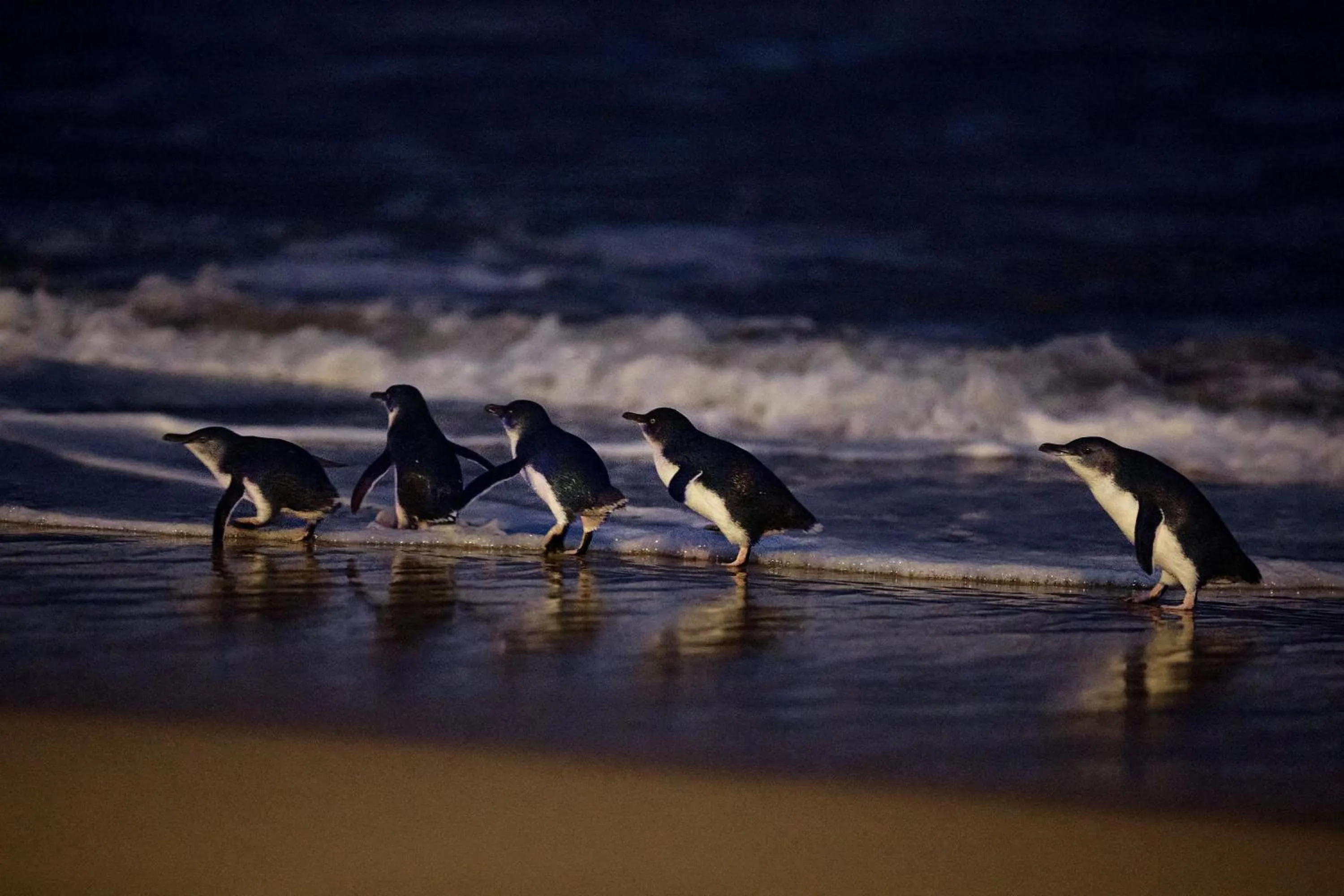 Natural landscape in The Island Accommodation