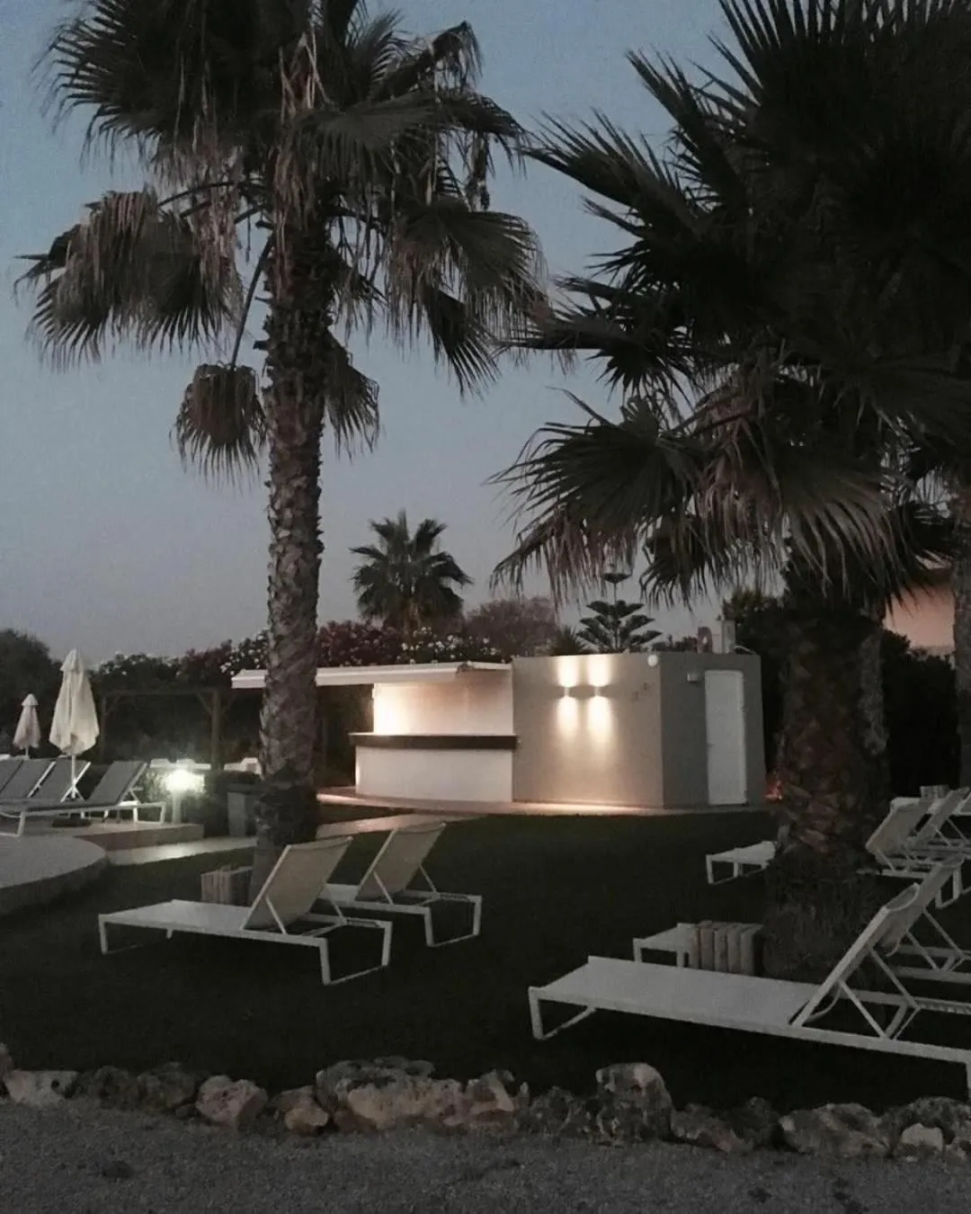 Garden in Phaedra Hotel