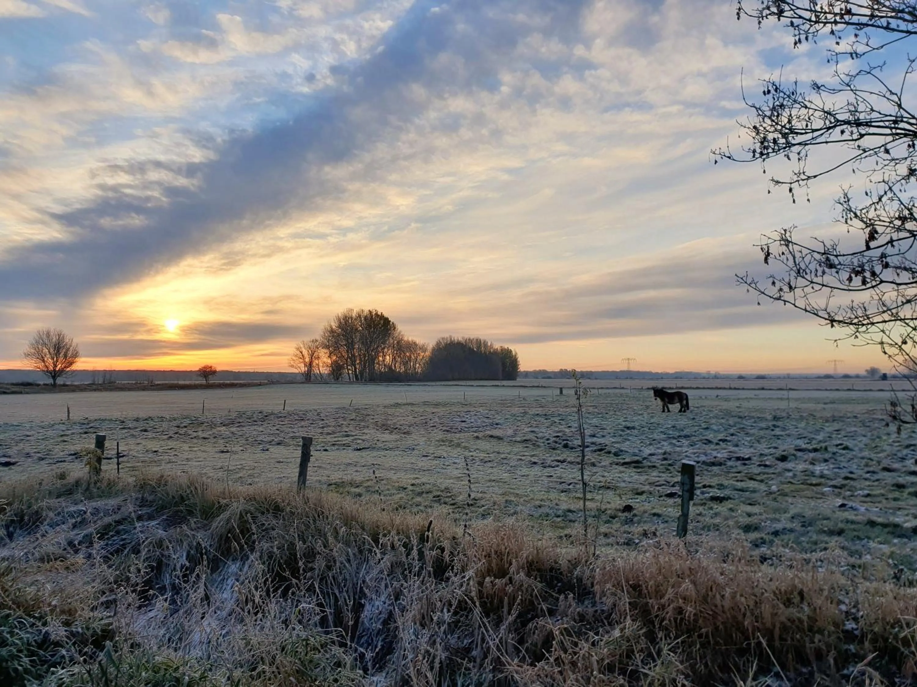 Area and facilities in Schloss Diedersdorf